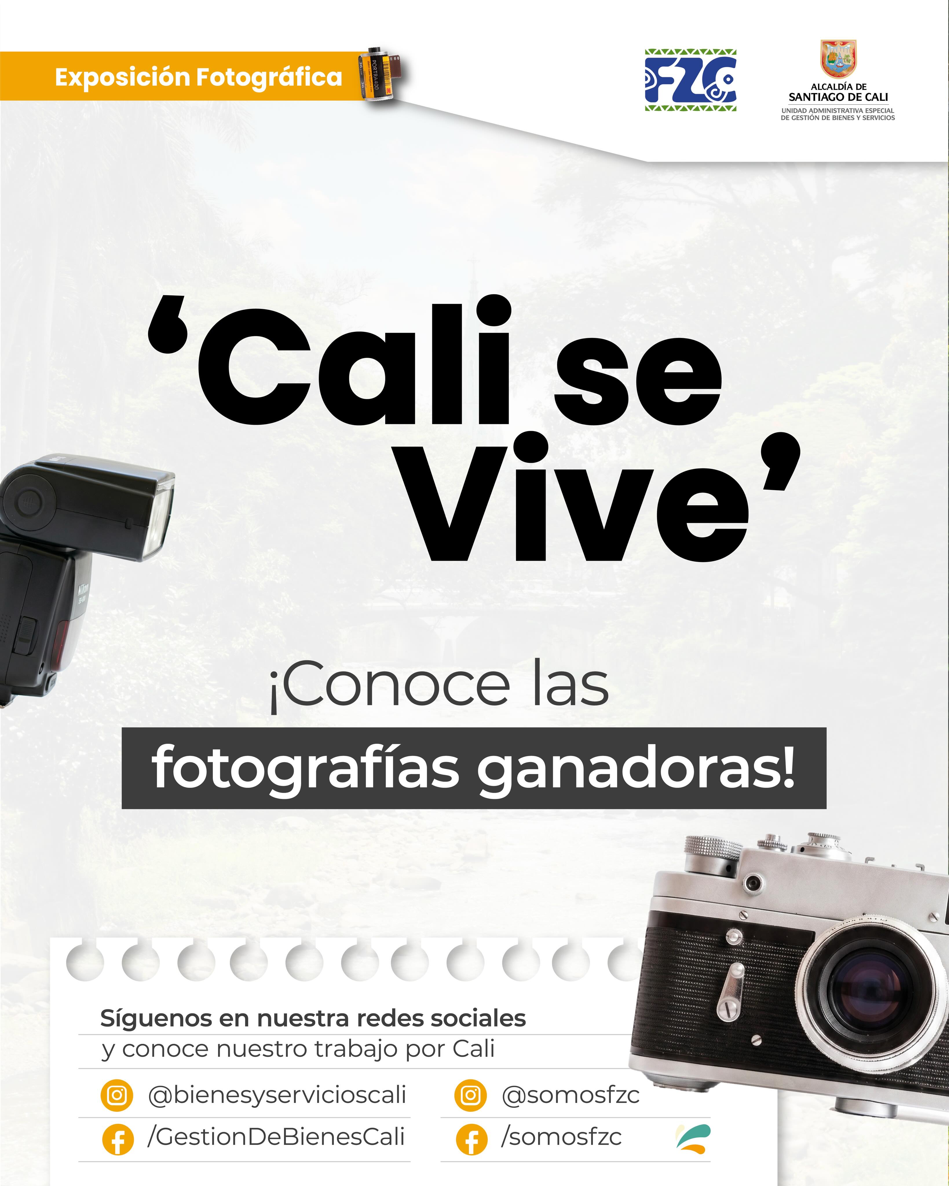 ✨ Gracias a todas las personas que participaron en Cali se Vive.
Cada fotografía compartió una mirada única de nuestra ciudad y nos recordó la riqueza de sus paisajes, su cultura y su gente. Agradecemos su entusiasmo, creatividad y el tiempo dedicado a hacer parte de esta iniciativa.
Disfruta de nuestra exposición en el Corredor del Rio, a partir del día Viernes 5 de junio📸
#corredordelrío #calisevive #exposicionfotografica #cali