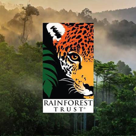 We want to put out a huge thank you for everyone who helped us raise money for our rainforest and ocean conservation projects. As of now:
62M acres protected across the globe with an additional 80M acres in progress
3,356 threatened species safeguarded
98% of the rainforest we’ve protected remains intact
Through our Cacao Republic fundraiser we raised 600 dollars which 100% goes to conservation in urgently needed areas being affected by logging, pollution, resource extraction and other man caused issues.
Let’s all work together and save our natural world. Next fundraiser will take place at crossroads market. My print of the mobula rays will go up for auction with 100% of the proceeds going to ocean conservation.
@rainforesttrust
@crossroadsmarketyyc
#planetearth #conservation #earth