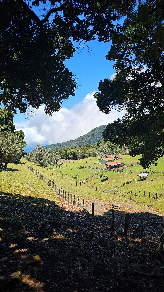 Entre montañas, árboles y el susurro del viento, la naturaleza nos recuerda lo esencial: detenernos, respirar y agradecer. 🌿✨
Ven a recargar tu alma de buena energía, a llenar tu corazón de paz y tus ojos de verdor. Porque entre senderos y paisajes llenos de vida, siempre encontramos un motivo para sonreír y reconectar con nosotros mismos.
La naturaleza no solo se visita, se siente. 💚
Reservas previas al 6920-0420 📌