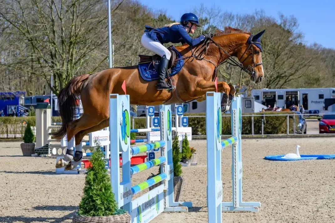 ✈️ 🇺🇸 Huge huge congratulation to @samanthaewood_ @5starequestrian on the purchase of Sire Echo! We can’t wait to see what you do in the ring very soon together!! Thank you again to @5starequestrian @cassandra.k92 for her trust yet again 💕
