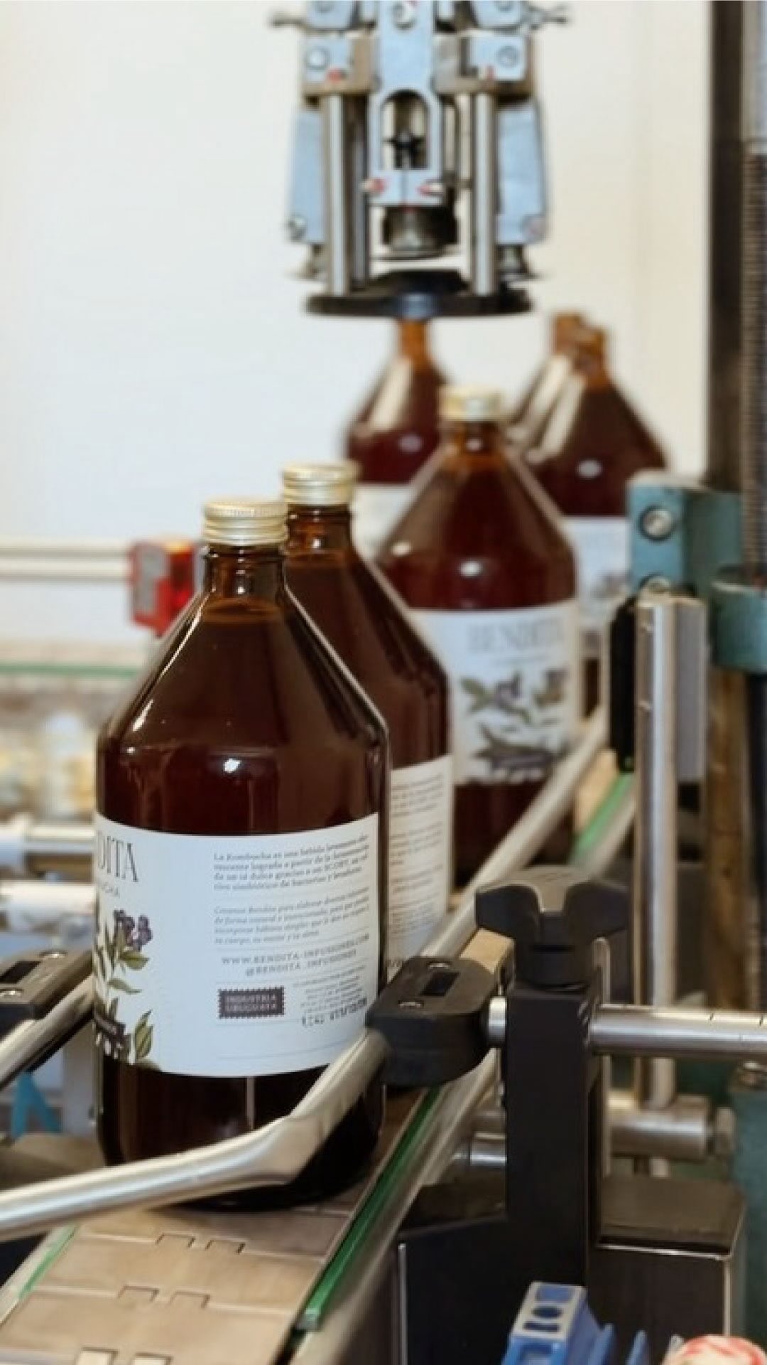 Lo pedían y ahora ya están acá ✨
Nuevas tapitas para tu kombucha favorita: más simples de abrir y pensadas para mantener la efervescencia & todos sus componentes tan seguros como siempre.
