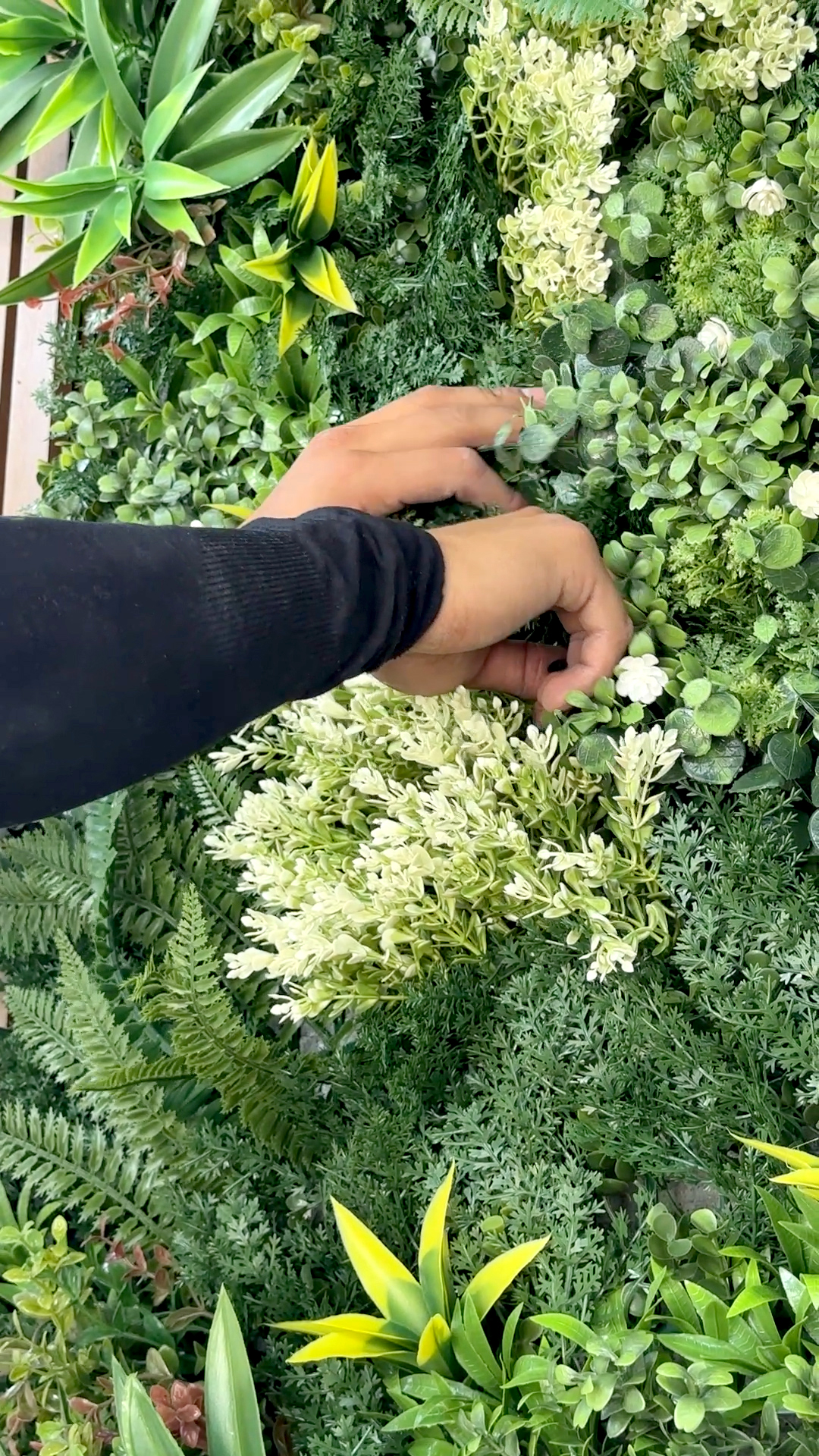 Así es como trabajamos una instalación. 🛠️✨
Primero preparamos el espacio y revisamos medidas.
Después colocamos el material cuidando cada detalle. Nos enfocamos en que todo quede alineado y bien terminado.
Y al final revisamos que todo funcione correctamente
Es un proceso pensado para lograr un resultado limpio y duradero.🏡
¿Tienes un proyecto en mente?
💬 ¡Escríbenos por mensaje al 442 592 6041 por WhatsApp y cotiza tu instalación hoy mismo!
#CasaDecoración #DiseñoDeInteriores #MuroVerde #Remodelación #Lambrín