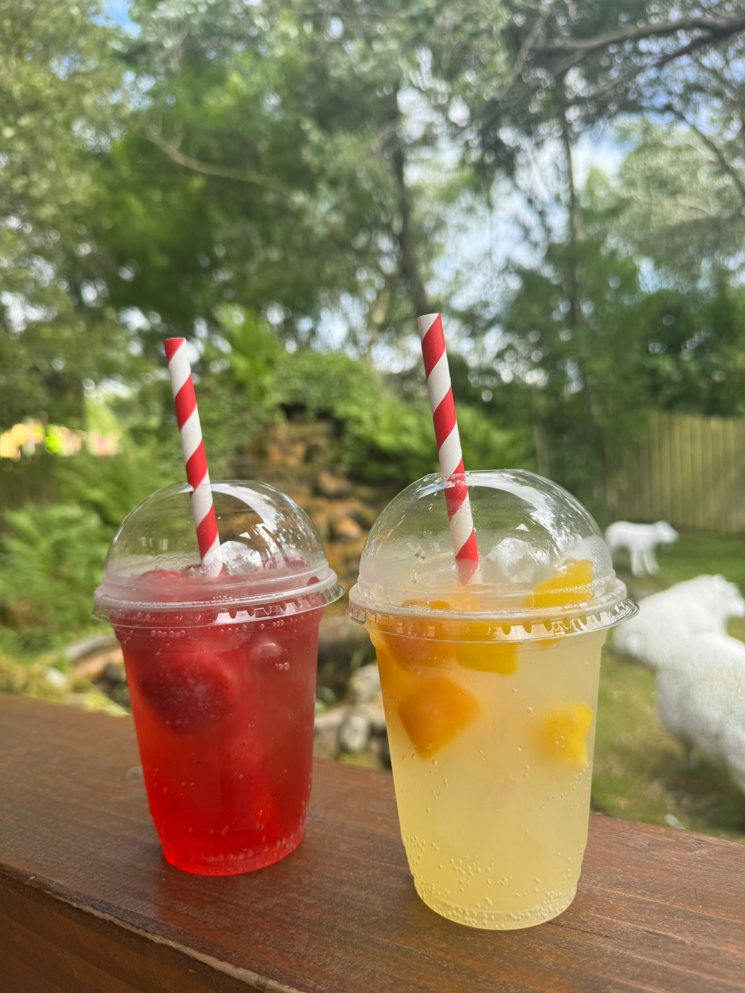 Introducing the perfect cool down specials for your days out this summer ๐โ๏ธ
Our Iced Spanish Latte ๐ง๐ช๐ธ
A smooth and refreshing Spanish inspired blend of espresso, milk, a splash of vanilla and sweetened condensed milk, served over ice. ๐ค
Our Strawberry ๐ or Pineapple ๐ Iced Lemonades.
All super refreshing and available from today until the end of the Summer Holidays while stock lasts ๐
#headsofayrfarmpark #daysoutscotland #thingstodoinscotland #scottishsummer #ayrshire