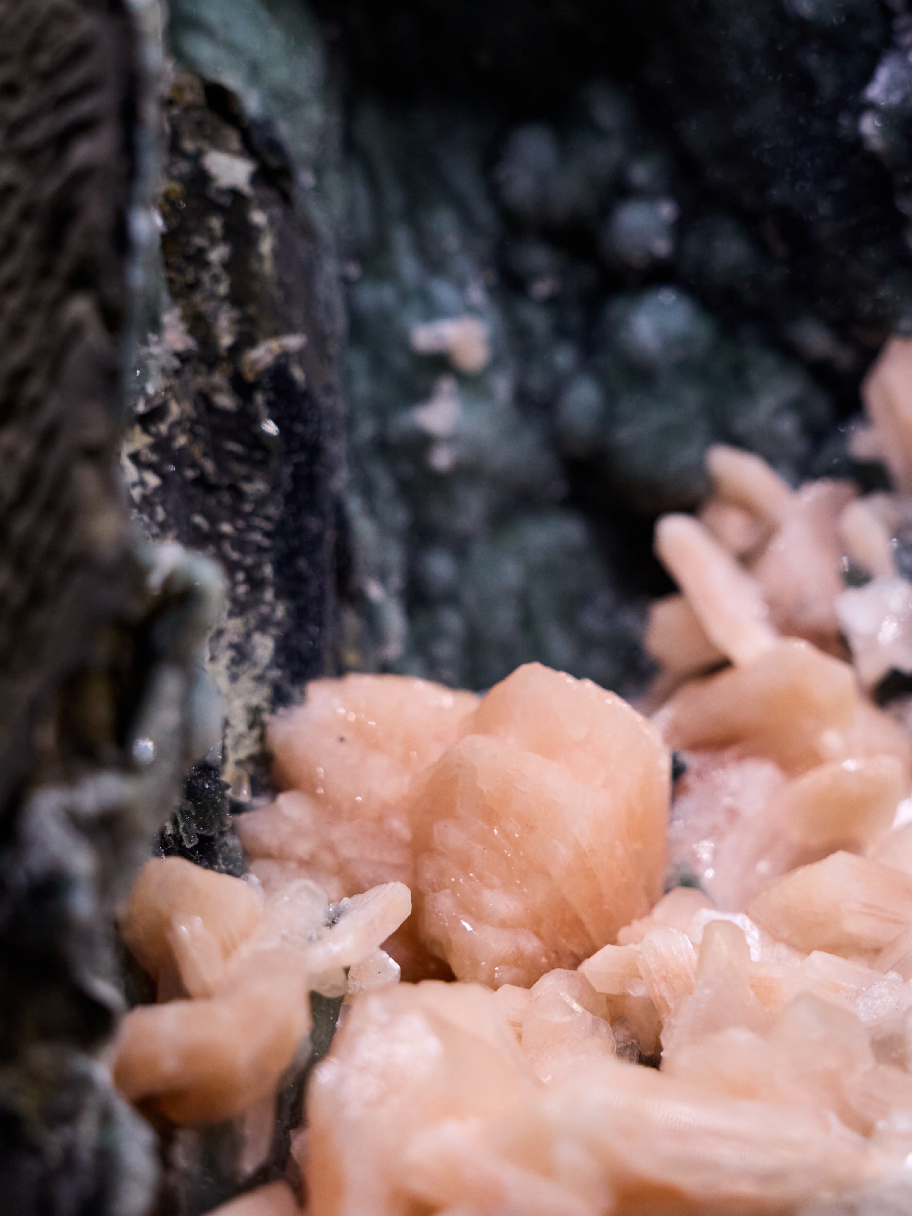 MINERAL MONDAY ✦ STILBITE & CHALCEDONY
Today’s journey takes us to India 🇮🇳
It shows only a tiny detail of this remarkable specimen.
At close range, the delicate peach-colored Stilbite crystals almost resemble flower petals growing inside a hidden crystal garden.
The green interior is formed by Chalcedony, while the soft peach crystals belong to the zeolite mineral Stilbite. Together, they create a stunning contrast shaped by nature over millions of years.
Fun fact: Minerals like Stilbite often form inside ancient volcanic cavities. What once was a bubble trapped in lava slowly transformed into a world of crystals beneath the Earth’s surface.
Nature’s patience, frozen in stone.
📍 Discover this unique specimen and thousands of others at the Mineralienhotel.
#mineralmonday #mineralmoments #mineralienhotel #minerals #stilbit #chalcedon #zeolith #mineralmuseum #mineraliensammlung #crystallovers #geology #natureart #indien