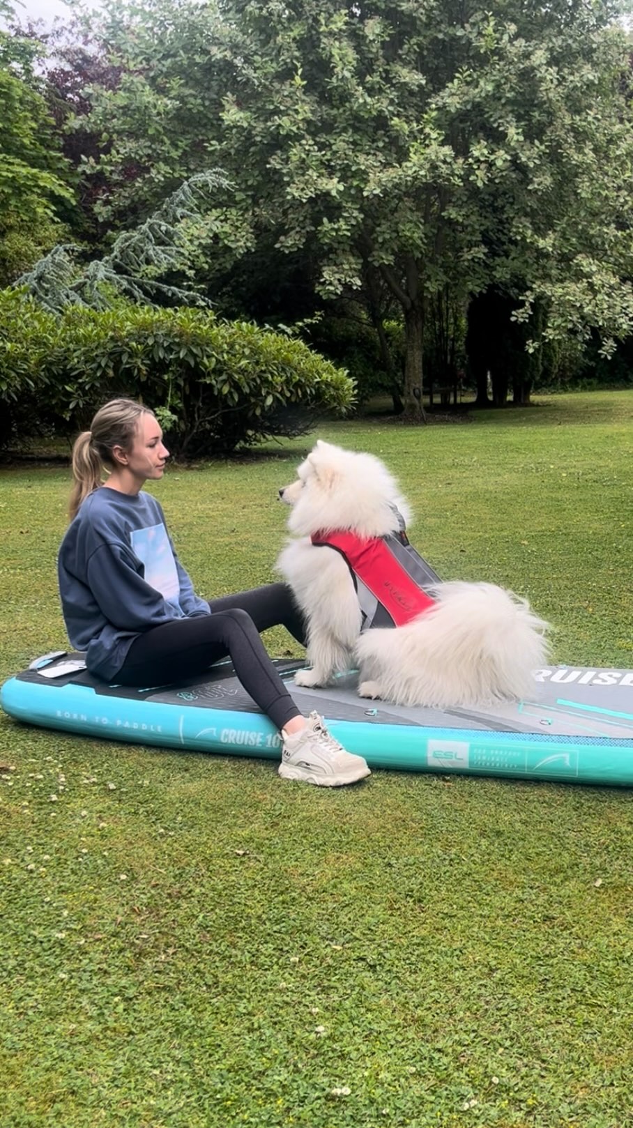 Thank you @_ronnietheretriever for the inspo!
Just to see Tzar in a life-Jacket has made this new hobby worth it already 💁🏼♀️
Board is @bluefinsups
Dog Life Jacket is Osprey
#samoyed #samoyedsofinstagram #dogadventures
