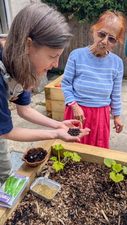 We've been developing our growing space and friendship at Apna Ghar Forest Garden this week with wonderful people in #BalsallHeath.