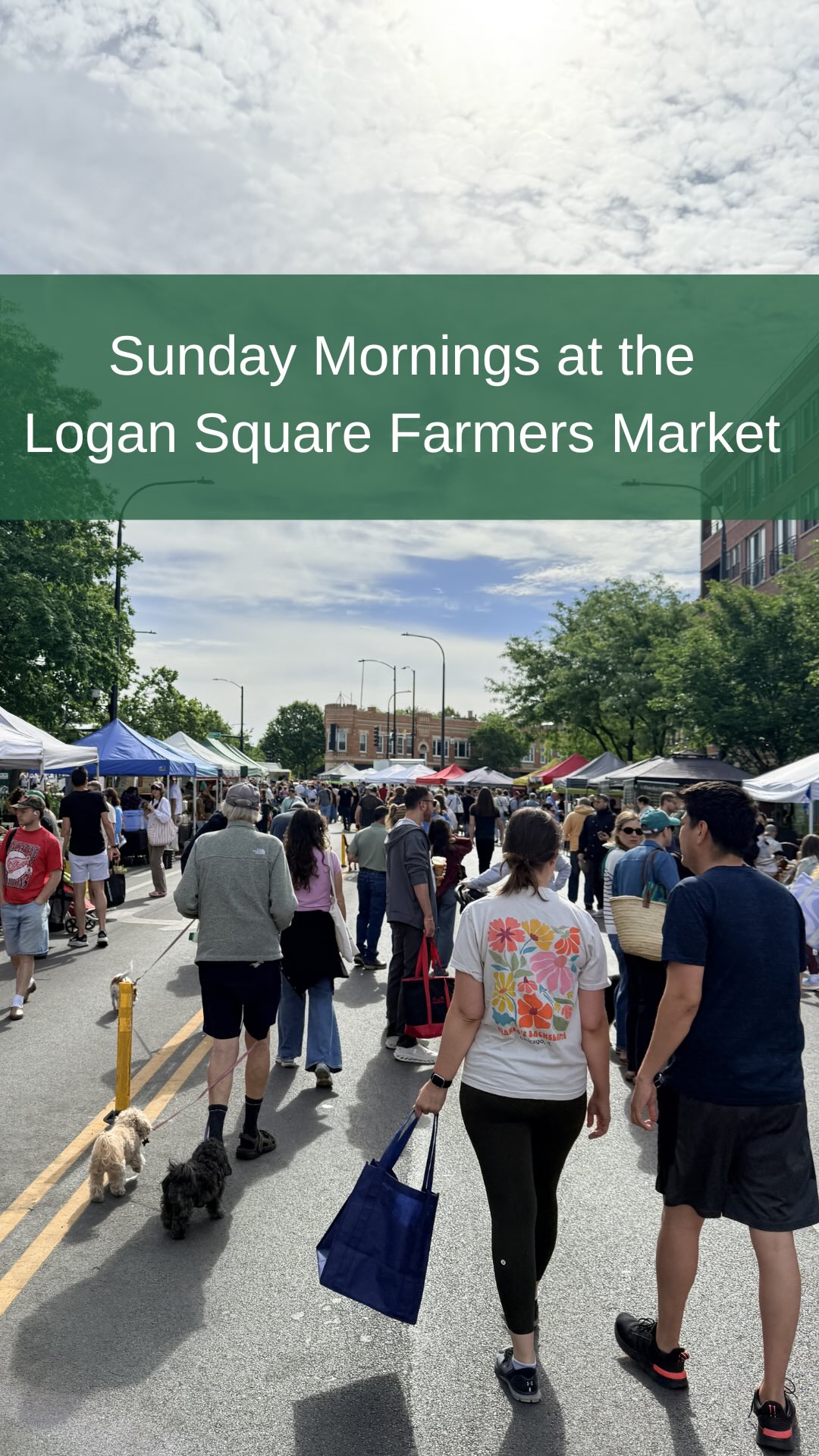 Are you coming out to the Logan Square Farmers Market this Sunday? 🌻🥕
Join us from 8:30 AM–3:00 PM at 2579 N. Milwaukee Ave., Chicago for fresh produce, local vendors, live music, delicious food, and all the community vibes that make Sundays special.
Bring your friends, your family, and your market tote. We can’t wait to see you there!
#logansquare #chicago #farmersmarkets #thingstodo