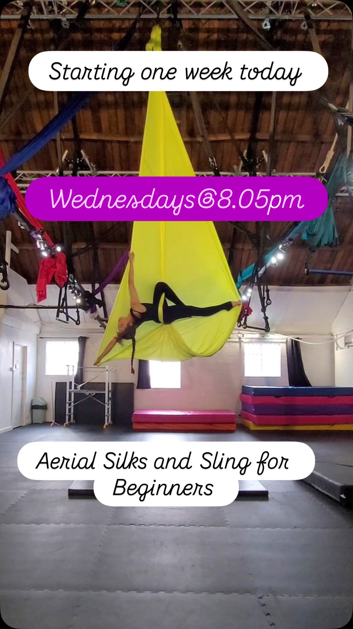 Located in Aylesbury, Bucks
Our beginner courses are designed to welcome everyone, regardless of fitness level. You’ll build strength, flexibility, and confidence in a supportive environment while learning exciting new skills.
Timetable for our beginner courses:
🎪 Mondays: Aerial Hoop at 8.30pm
🎪 Tuesdays: Exotic Pole Dance at 6.25pm
🎪 Tuesdays: Aerial Silks and Aerial Hoop at 8.30pm
🎪 Wednesdays: Aerial Silks and Aerial Sling at 8.05pm
🎪 Thursdays: Pole Fitness at 8pm
🎪 Fridays: Pole Fitness and Exotic Pole at 7.15pm
🎪 All our beginner courses are bookable online now. To view what courses we have availability in, please check our website out.
🎪 Our three dedicated studios are located in Duck Farm Court, Aylesbury. (Near Morrisons)
🎪 Our courses are for everyone. There is no minimum fitness or gymnastic experience required to join.
🎪 The minimum age for adult courses is 16. There is no maximum age.
🎪60 min weekly classes.
🎪Free make up sessions, if you miss a class (terms apply), free open training and discounted stretch classes, discounted HITT classes for single class members
🎪Free make up sessions, if you miss a class (terms apply), free open training, free stretch and HITT classes, discounted workshops, discounted parties and discounted private lessons for our multi course students.
🎪Highly trained and insured instructors
🎪Multi course discounts.
For full details on the course and the terms and conditions attached to the bookings, please check the booking page out!
https://www.pole-attack.co.uk/book-online
#aylesbury #tring #thame #aylesburymums aylesburyvalve