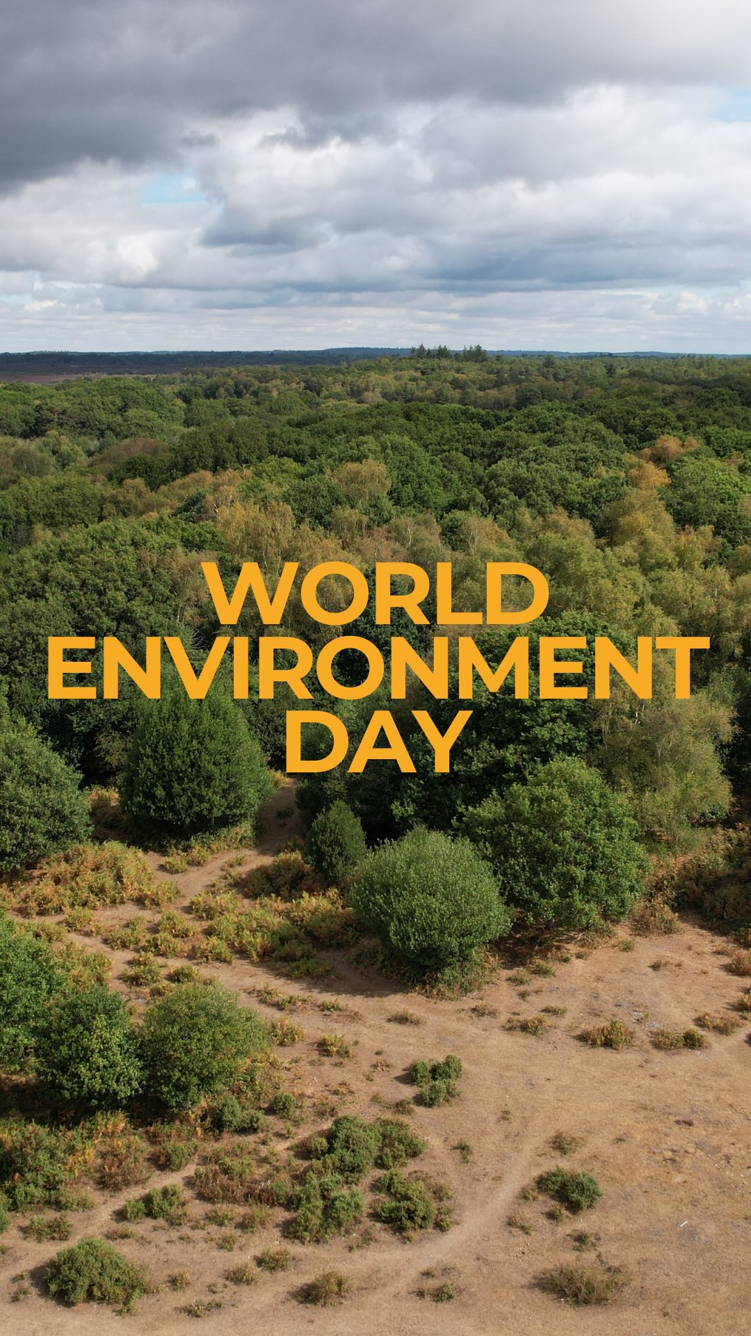 Today is World Environment Day, and it’s a good opportunity to share some of the ways sustainability is built into how we work at Ecologic SIPs.
From reusing wood offcuts to help heat the workshop, to compacting EPS offcuts so they can be repurposed into new products, we are always looking at ways to reduce waste across the build process. Even the packaging used to deliver our SIP panels is brought back from site and reused again on future projects.
Alongside this, the SIP system itself helps create highly insulated, airtight homes that require less energy to heat and cool over time, supporting better long-term environmental performance.
For us, building responsibly is not just about the finished home; it is part of the process from the very beginning.
#worldenvironmentday #sustainableconstruction #circulareconomy #sips #buildbetter