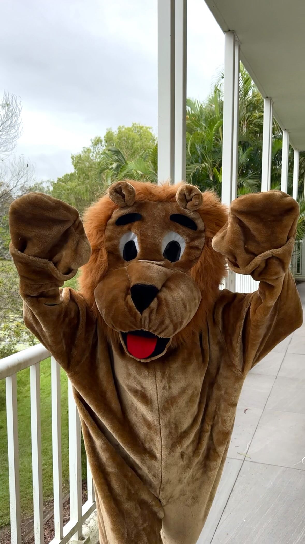 ROARRRY has officially entered the building 🦁🦁
He’s fluffy, friendly and little bit extra but most importantly, he’s very proud of our Little Language clinic!
Our furry friend has been checking in on toys, looking over books and making sure everything is ready for our favourite little communicators 🥰
We have a hunch we’ll be seeing a lot more of Roary around here, and we’re not mad about it!