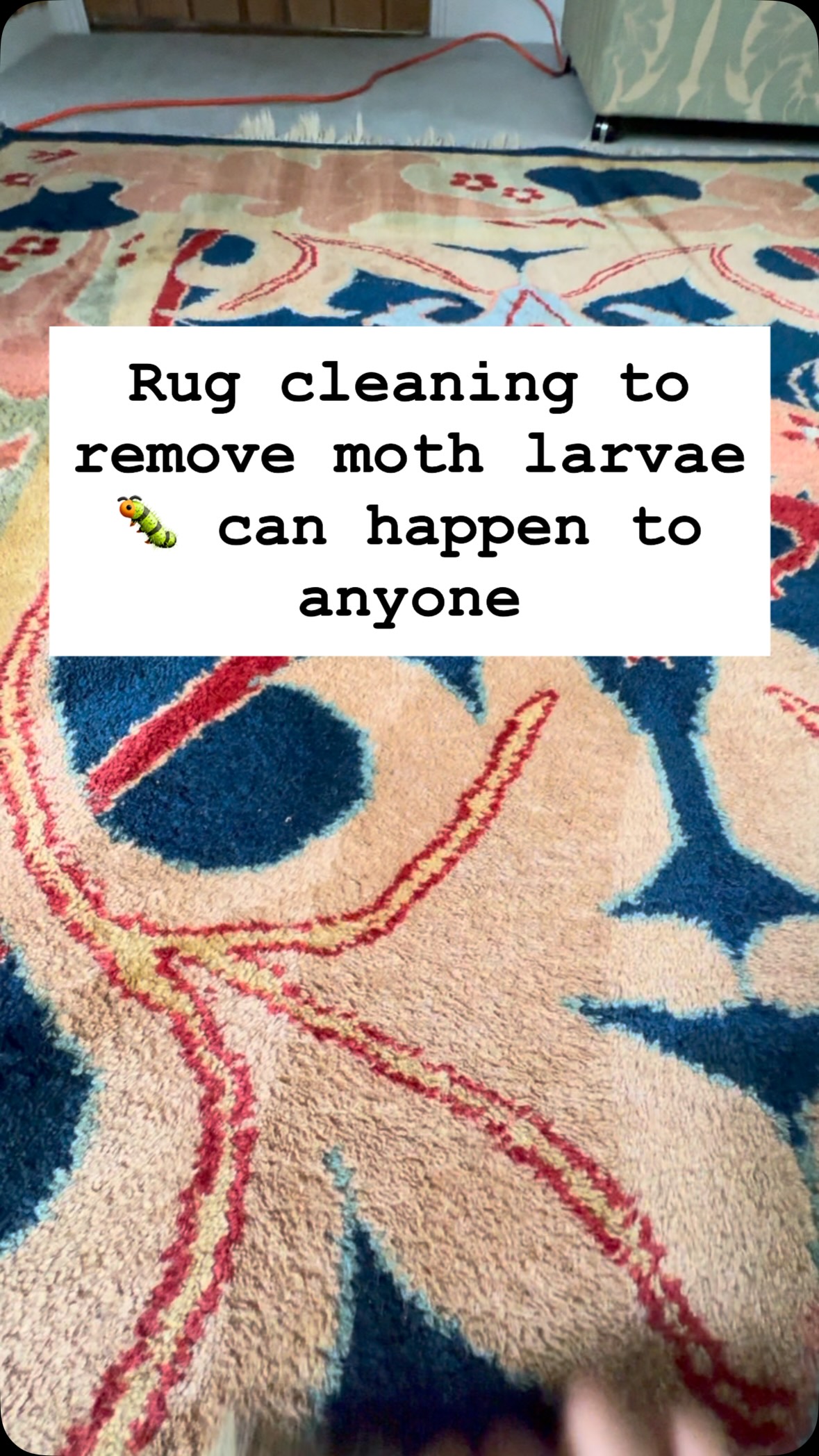 Moth larvae love edges under chairs and out of site, the can soon destroy your rugs and carpets without you even realising..