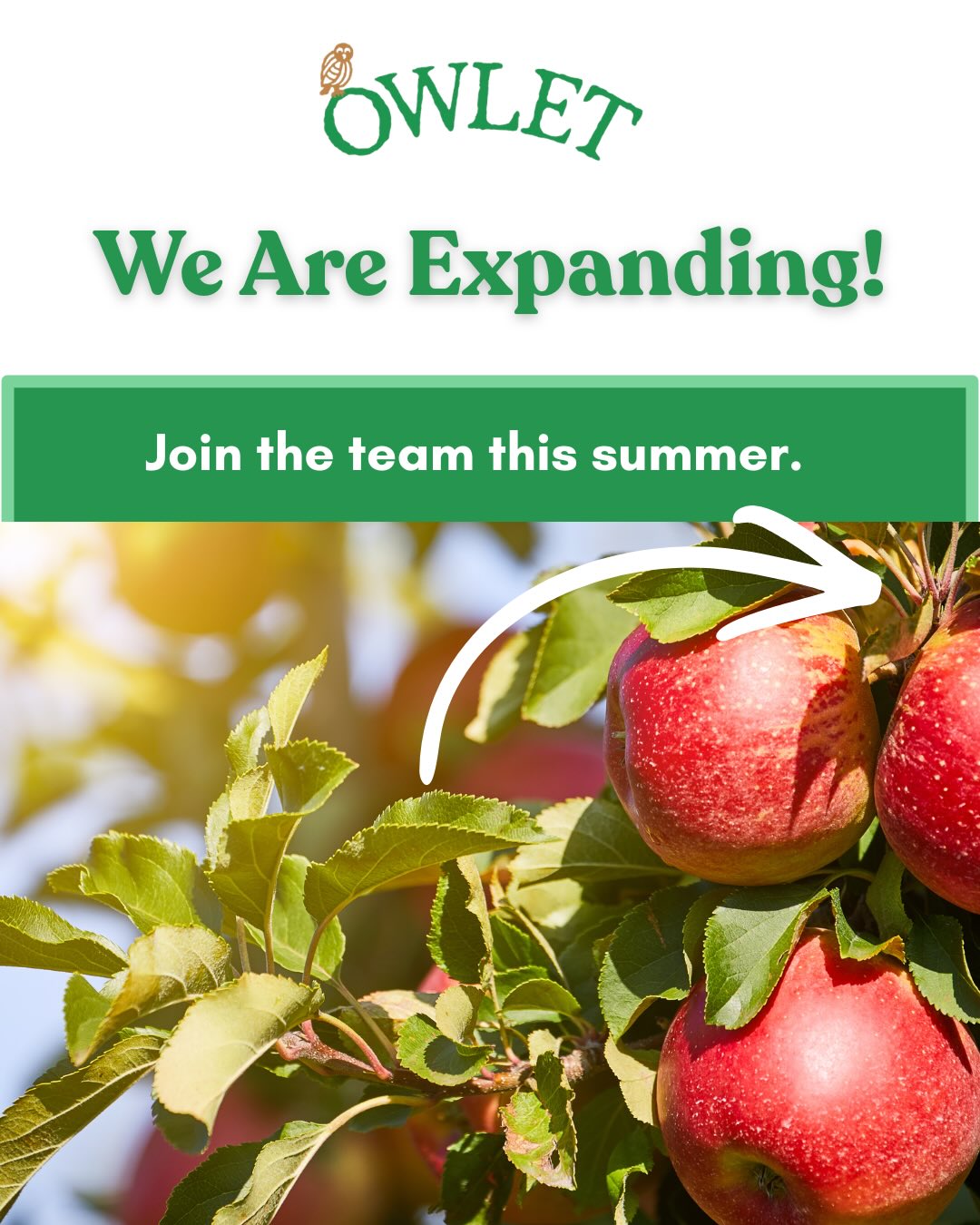 🍎 Join the Owlets Team 🍎
We are now hiring for two positions!
If your interested please get in touch today -
📧 hello@owletfruitjuice.co.uk
#kentjobsavailable #wearehiring #farmjobskent