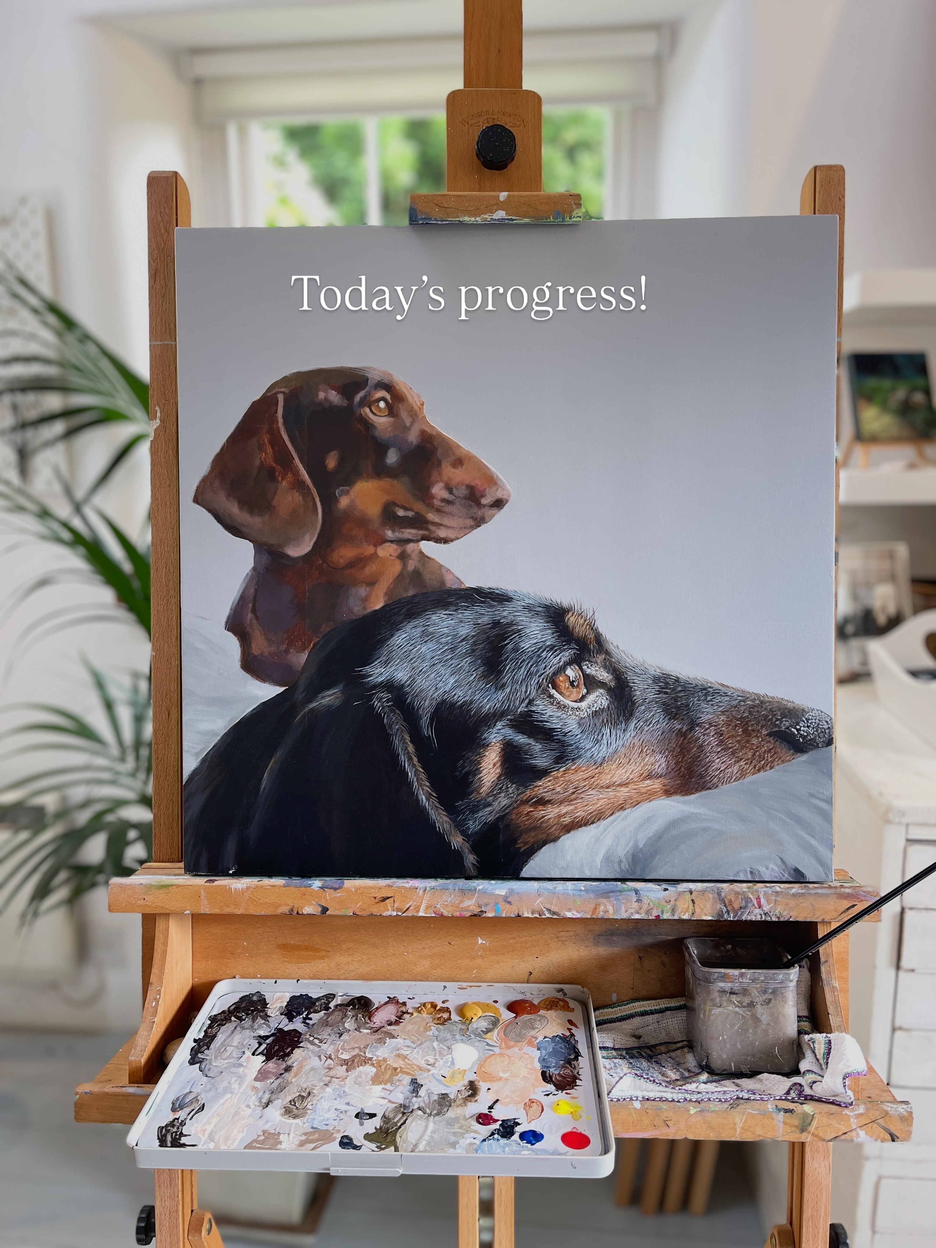 I’ve spent some more time working on Molly today, the miniature dachshund in the foreground, and she’s really starting to come to life.
Capturing the shine and texture of glossy fur is always a balancing act—too much contrast can easily add years! I’m delighted with how she’s developing and looking forward to continuing with the piece on Friday. 🎨🐾