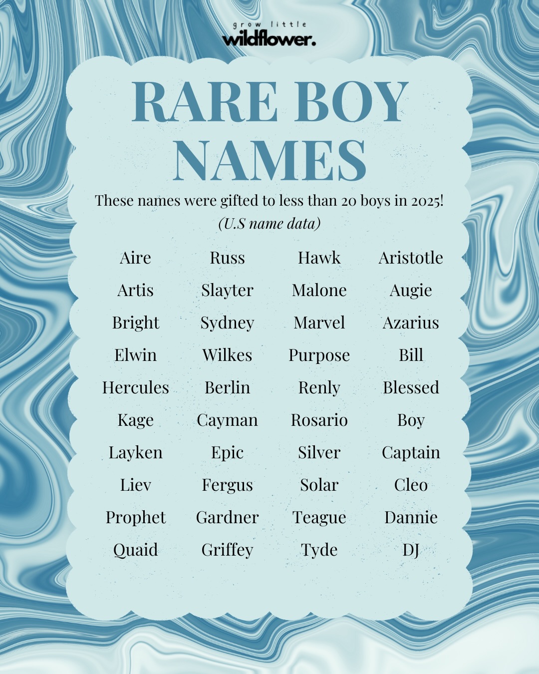 RARE BOYS - for the Mama’s who prefer a one of a kind name! ❤️🔥❤️🔥❤️🔥
Gifted to 16-20 boys in 2025! There are some really wonderful (and probably new to you) names at the lower end of the recent name data! I know these aren’t for everyone but a reminder than every name has a story and has been chosen with love - and it’s okay if these names aren’t for you 🩵
Comment your faves below or maybe one that intrigued you most!! 👇
#growlittlewildflower