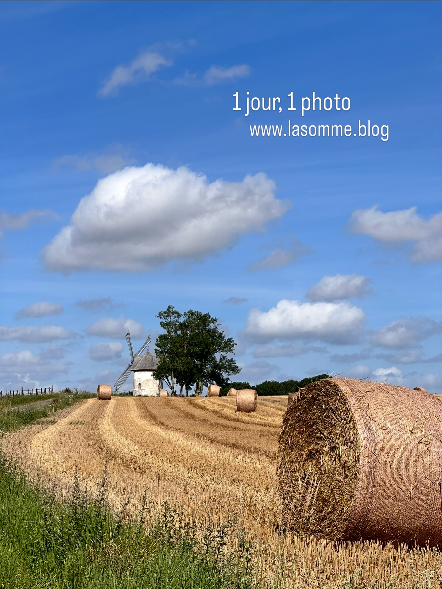 Bussus-Bussuel (sur la photo), Flixecourt, Eaucourt, Frucourt, Naours, les moulins sont nombreux dans la Somme. Découvrez-en quelques-uns sur www.lasomme.blog 🦋