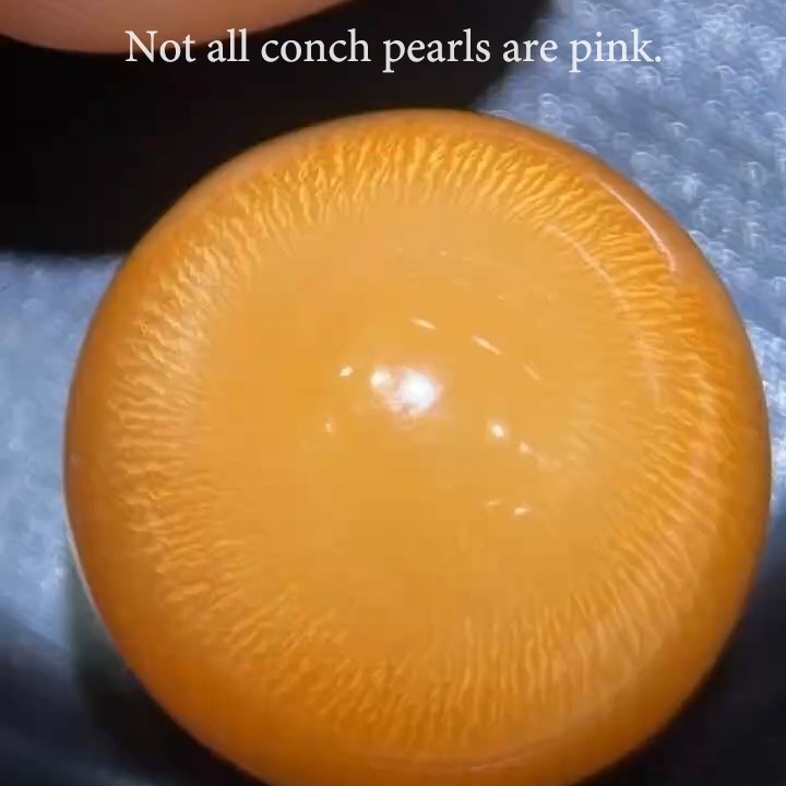 CONCHÉA — THE GOLDEN SUN
Not all conch pearls are pink.
Some arrive in shades so rare that even seasoned collectors may encounter only a handful throughout their lifetime.
This extraordinary 19.91-carat conch pearl displays a richly saturated golden hue illuminated by radiant flame patterns extending across its entire surface.
At nearly 20 carats and measuring approximately 14mm in diameter, it possessed a presence impossible to ignore.
A remarkable example of nature's artistry.
Now residing in a private collection.
#Conchea
#NaturalConchPearl
#CollectorGem
#SoldArchive
#ThePearlVogue
