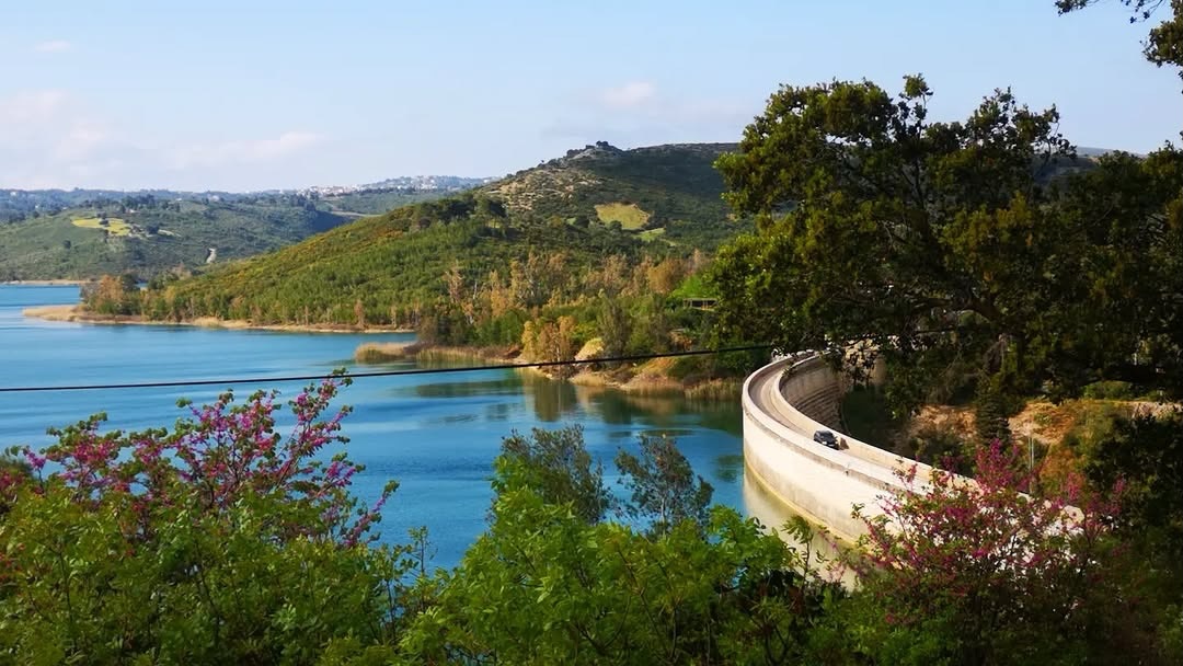 📍 Lake Marathon, Attica, Greece
@thalia_plat_photography #welovemarathon
.
.
.
#greece #marathonas #artificiallake #dam