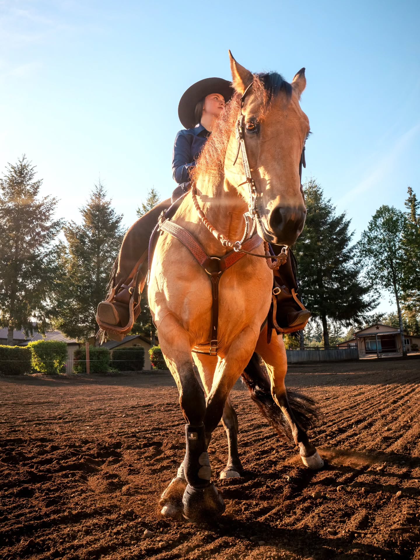 Spinnin into a new perspective with @josie_zimmer_ + MSC Can't Stop Slidin aka "Miley" 💫
Our first Ambassador shoot was so much fun! Be sure to give her a follow and look out for a 20% discount code for Equine Photo Session with us!