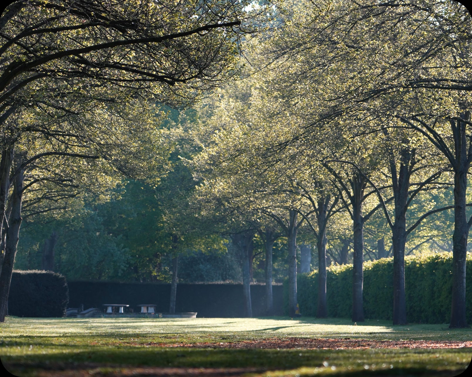 Whilst the sun rises and most are still sleeping, our little water jets are working hard and keeping our grounds hydrated and healthy 🌱💦
When the sun hits, they are quite the spectacle 😍