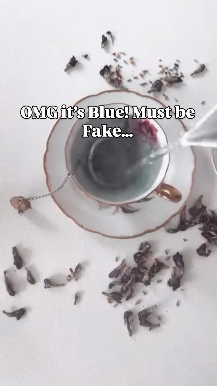 Wait... it’s BLUE?! 🦋
And before you ask, no, we didn’t add a single artificial thing.
❌ No artificial colours
❌ No artificial flavours
❌No artificial sweeteners
✅Just Butterfly Blue Pea Flower, lavender and ginger doing what nature does best.
Tickety Brew turns blue all on its own, and if you add a splash of lemon? Hello purple. 🍋
A Silver Medal Award Winner that’s as stunning in your cup as it is good for you. Calming, anti-inflammatory, and genuinely good for calming and sleep.
Grab yours at the link in bio. 🦊🌿
#TheTeaThief #OrganicTea #NaturallyBlue #BluePeaFlower