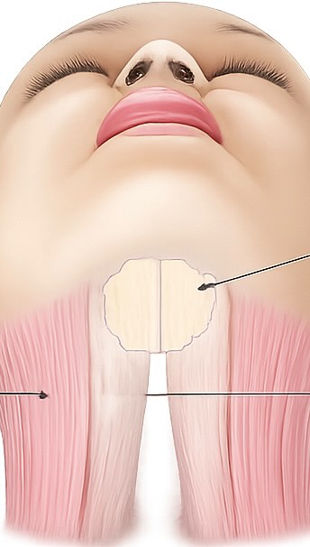 Doppelkinn ade! ✨
Aktiviere deinen Lymphfluss mit einfachen Übungen und sanften Massagen. Weniger Schwellungen, mehr Definition und ein frischeres Aussehen ganz natürlich. 💆♀️💧
#lymphe #lymphfluss #madero #lipodem #doppelkinn