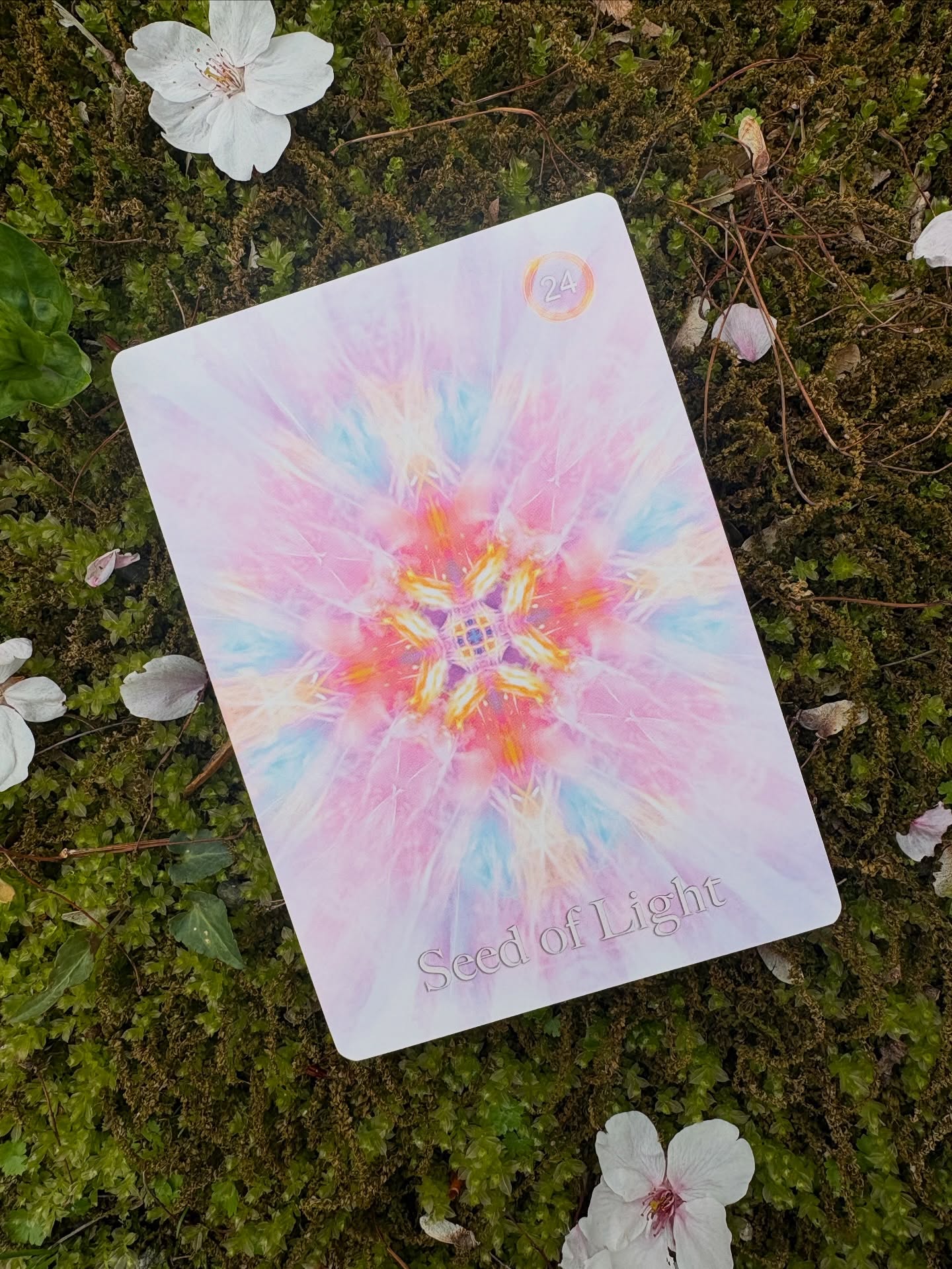 🌱✨Within every soul, there are seeds of light waiting to awaken.
Some are planted through love.
Some through challenge.
Some through the silent prayers whispered to the stars.
Trust the divine timing of your blossoming.
Even when the Earth above seems dark, the seed below is preparing for its miracle.
Nurture your inner light.
Honor your sacred becoming.
The light you seek is already growing within you.
With love and light,
Doni
🌱✨ 光の種 ✨🌱
すべての魂の中には、目覚めの時を待つ光の種が宿っています。
ある種は愛によって蒔かれ、
ある種は試練によって蒔かれ、
またある種は、星々へ捧げた静かな祈りによって蒔かれます。
あなたが花開く神聖なタイミングを信頼してください。
たとえ地上が暗く見える時でも、
その種は見えない場所で奇跡の準備をしています。
あなたの内なる光を大切に育みましょう。
神聖な変容のプロセスを敬いましょう。
あなたが探し求めている光は、すでにあなたの内側で育っています。
🌿💫
#SeedsofLight #光の種 #SoulFreedomEnergyCards #LightCodes #SpiritualAwakening #覚醒 #SoulGrowth #DivineTiming #InnerLight #HeartAwakening #EnergyHealing #Lightworker #AscensionJourney #SoulRemembrance #SpiritualJourney #OracleCards #NewEarth #Consciousness #愛と光 #魂の旅