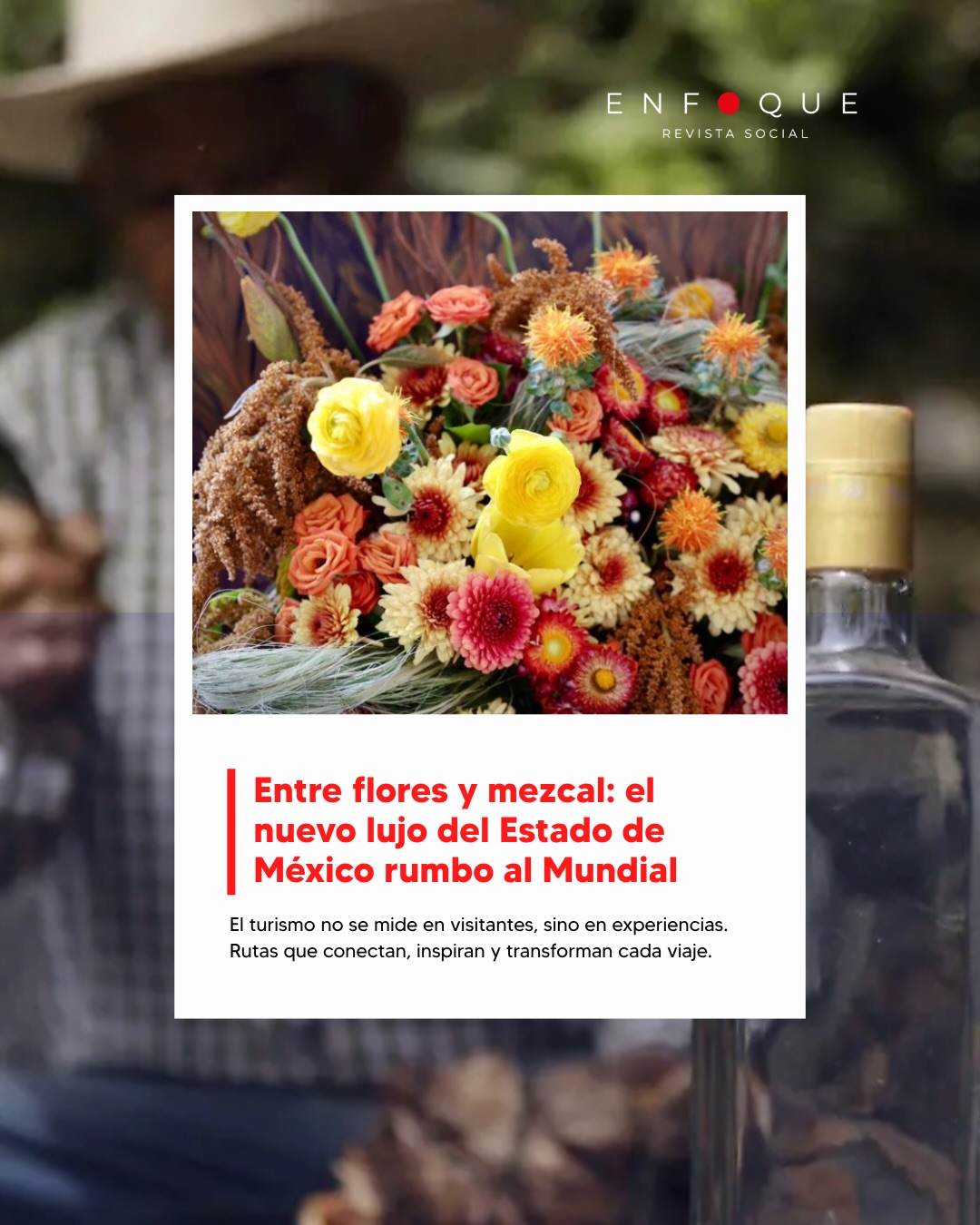 El Mundial 2026 no solo se jugará en las canchas. 🌸🥃
El Estado de México apuesta por convertir el turismo en una experiencia a través de la Ruta de la Flor y la Ruta del Mezcal, dos iniciativas que buscan generar derrama económica y posicionar al estado como un destino imperdible. Descubre cómo esta estrategia quiere capitalizar uno de los eventos más importantes del mundo.
Lee la nota completa en Revista Enfoque.
.
.
.
#revistaenfoque #mezcal #flores #rutadelmezcal