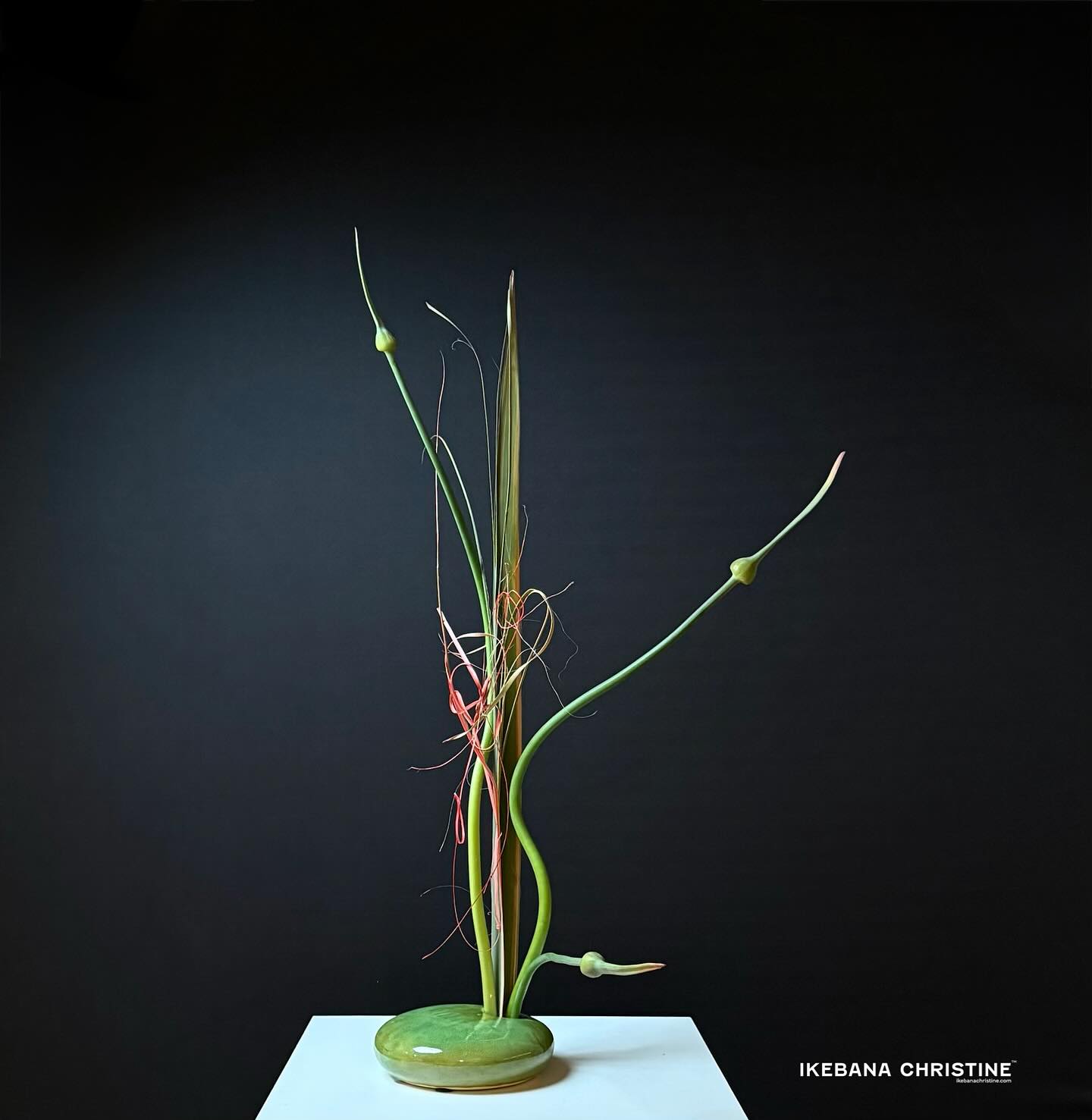 Playing with Alliums in between 2 classes.
Sign up for my Fall beginner’s series in Manhattan.
2026 Fall beginner ‘s series :
*Tuesdays@4pm: Sep22, Oct 6, 20 and Nov 3 2026
*Wednesdays@5:30pm: Sep23, Oct 7, 21 and Nov 4 2026
http://www.ikebanachristine.com/
•
•
•
#ikebanachristine
#ikebanastudio
#manhattanikebanaclass
#ikebanaclass
#ikebanalesson #ikebananewyork
#sogetsu草月流いけばな #ikebanasogetsu
#sogetsu
#ikebana
#ikebanaflowers
#sogetsu
#sogetsustudio
#ikebanastudio
#ikebanastagram #sogetsuschool #sogetsuikebana