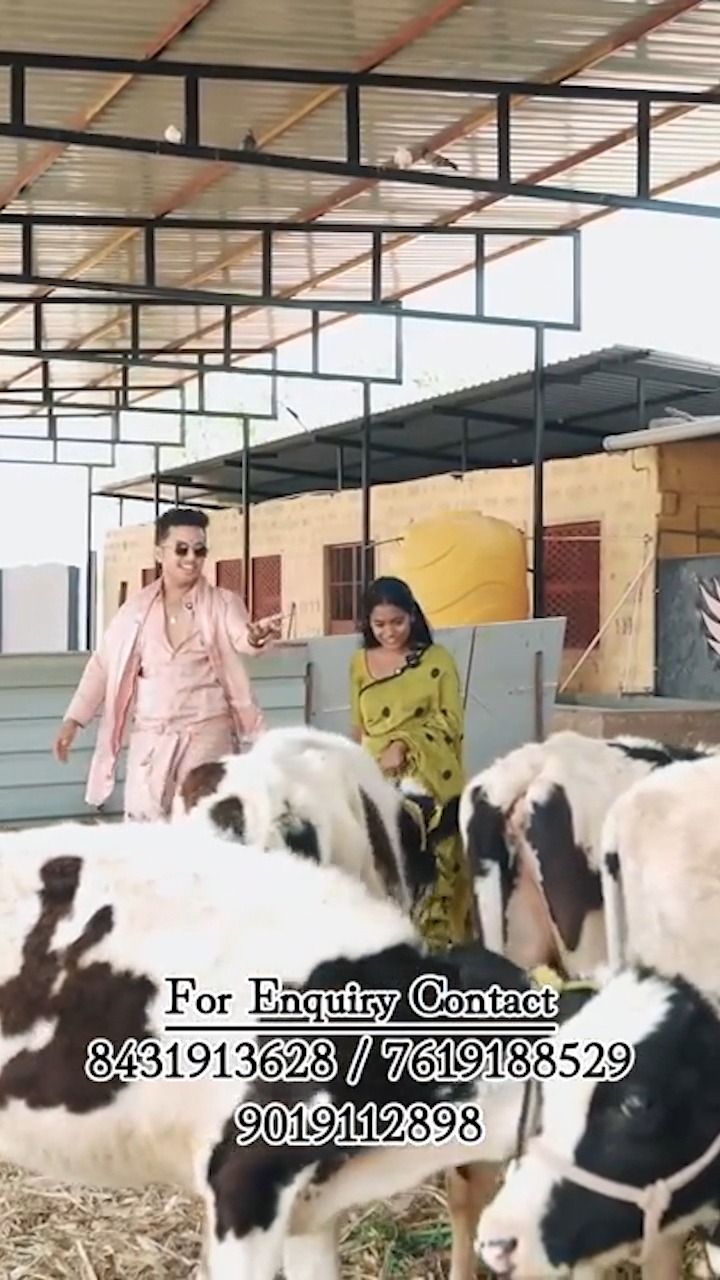 🐄 A farmland that feels alive in every sense.
At Nature Hills Mahaveer Farmlands, nature is not limited to plantations alone — it extends into a complete rural living ecosystem.
Our thoughtfully planned **Goushala** offers buyers the opportunity to rear and care for cows and livestock of their choice in a peaceful, natural environment.
Alongside this, the project also features a vibrant farm-life experience with:
🦆 Ducks around the water bodies
🐔 Hens & Country Chickens
🐓 Free-roaming farm birds
🐄 Space for cows and livestock care
For many families, this is more than a feature — it’s a chance to reconnect with a way of life rooted in tradition, nature and simple joy.
Whether for personal farming, organic living or simply experiencing the charm of farm life with your children and family — every detail adds meaning to your land ownership experience.
🌿 A place where greenery grows… and life moves naturally.
📍 Project Location – Thadi Village, ID Halli, Madugiri Taluk, Tumakuru District
https://share.google/PMf7o3QsksBFMBFTj
🎥 Watch full project video here:
https://www.youtube.com/watch?v=wCuJIAiJ3hs&t=11s
📲 Send a Hi on 97430 80253
#NatureHillsMahaveerFarmlands #Goushala #FarmLifeIndia #ManagedFarmlands #CowShed #LivestockFarming #OrganicLiving #CountryLiving #FarmhouseLifestyle #NatureInspired #PremiumFarmlands #LandInvestmentIndia #GreenLiving #FarmPlotsNearBangalore #Ducks #CountryChicken #RuralLifestyle #NatureRetreat #EcoLiving #RealAssetInvestment
