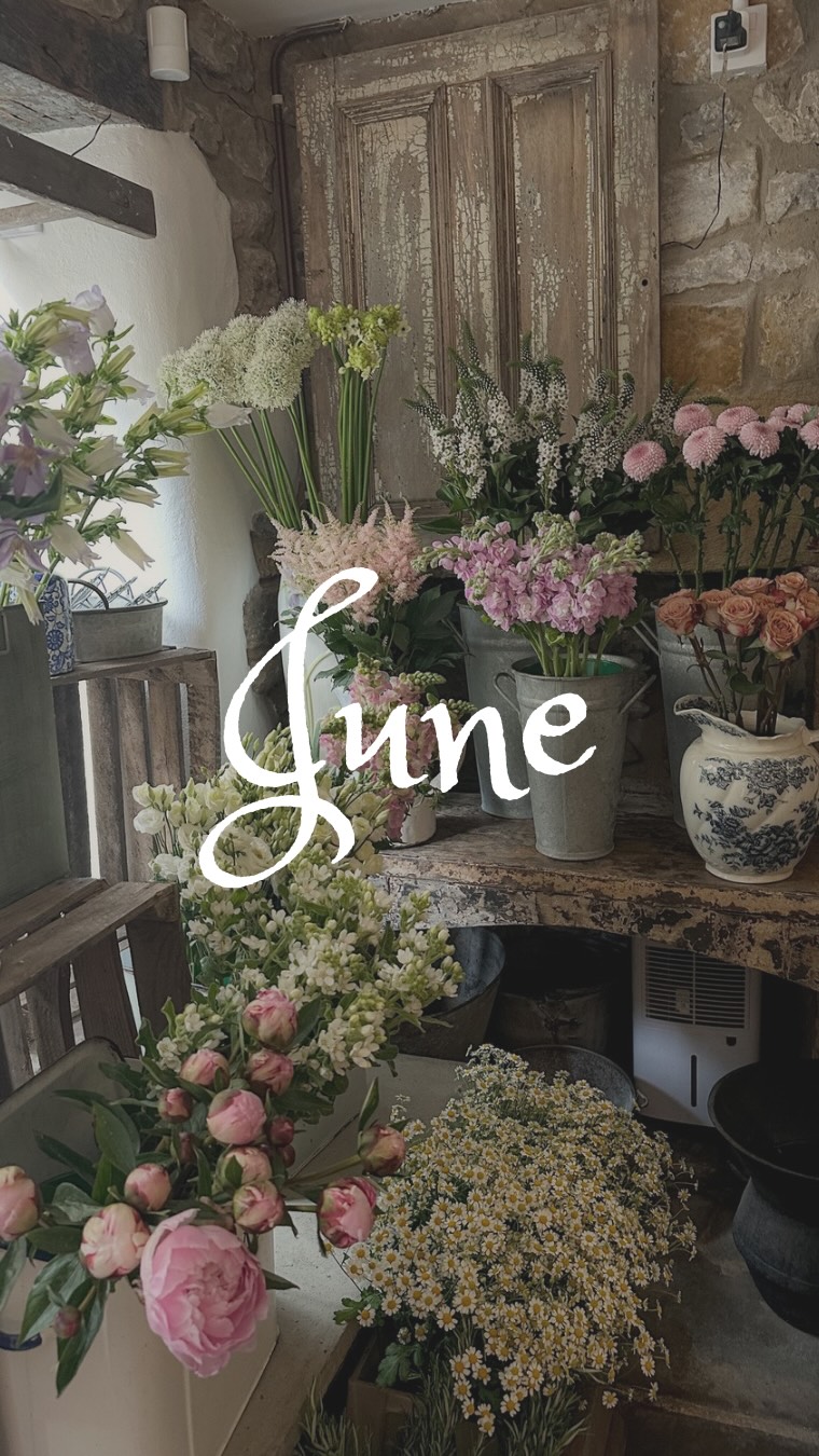 A little glimpse of what’s in the shop at the moment 🌿✨
June is here, and with it comes a whole host of exciting things behind the scenes. We’re looking ahead to the weddings we’ll be working on over the next few weeks, with some beautiful colour palettes and creative designs planned that I honestly can’t wait to bring to life.
It’s also been lovely chatting with future couples about their wedding flower ideas and hearing all about the celebrations they’re planning. If you’re currently in the midst of wedding planning and looking for a florist, I’d love to hear from you and talk through your ideas.
A few dates remain available for 2026, while 2027 is now open for bookings. We’re even taking enquiries for 2028 for those of you who are super organised and planning well ahead! 💍
And a little reminder that our workshops are live on the website too… cough cough Christmas workshops 🎄😉. If there’s one you’ve had your eye on, now’s the time to secure your place as they do fill up quickly.
We’ve also had a gorgeous fresh flower delivery arrive this week, ready to be turned into bouquets and used to flower up homes & businesses.
Here’s to a busy, creative and flower-filled June