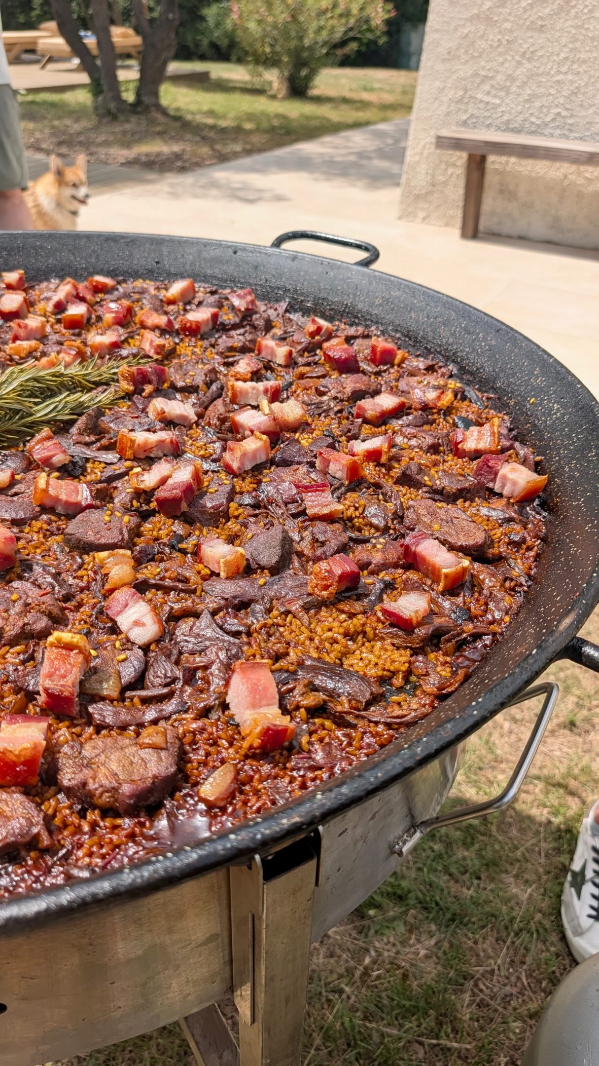 Notre paella signature ❤️
Rôti d’échine de porc, cèpes, tomates, ail, oignons, romarin, riz rond, avec un petit supplément : le torrezno 😍
Retrouvez-la dans notre menu traiteur (lien en bio), elle est désormais disponible à la commande pour vos événements privés ou professionnels !