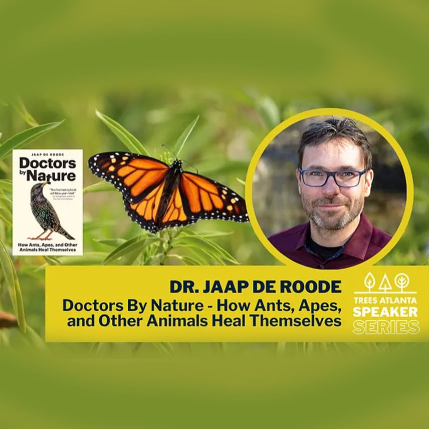 This Thursday!
Very much looking forward to giving this author talk with @treesatlanta and @eagleeyebooks on June 4th at 7pm.
Register here: https://www.treesatlanta.org/get-involved/events/author-talk-docters-by-nature-how-ants-apes-and-other-animals-heal-themselves-with-dr-jaap-de-roode-a2BUd000002ODKjMAO
