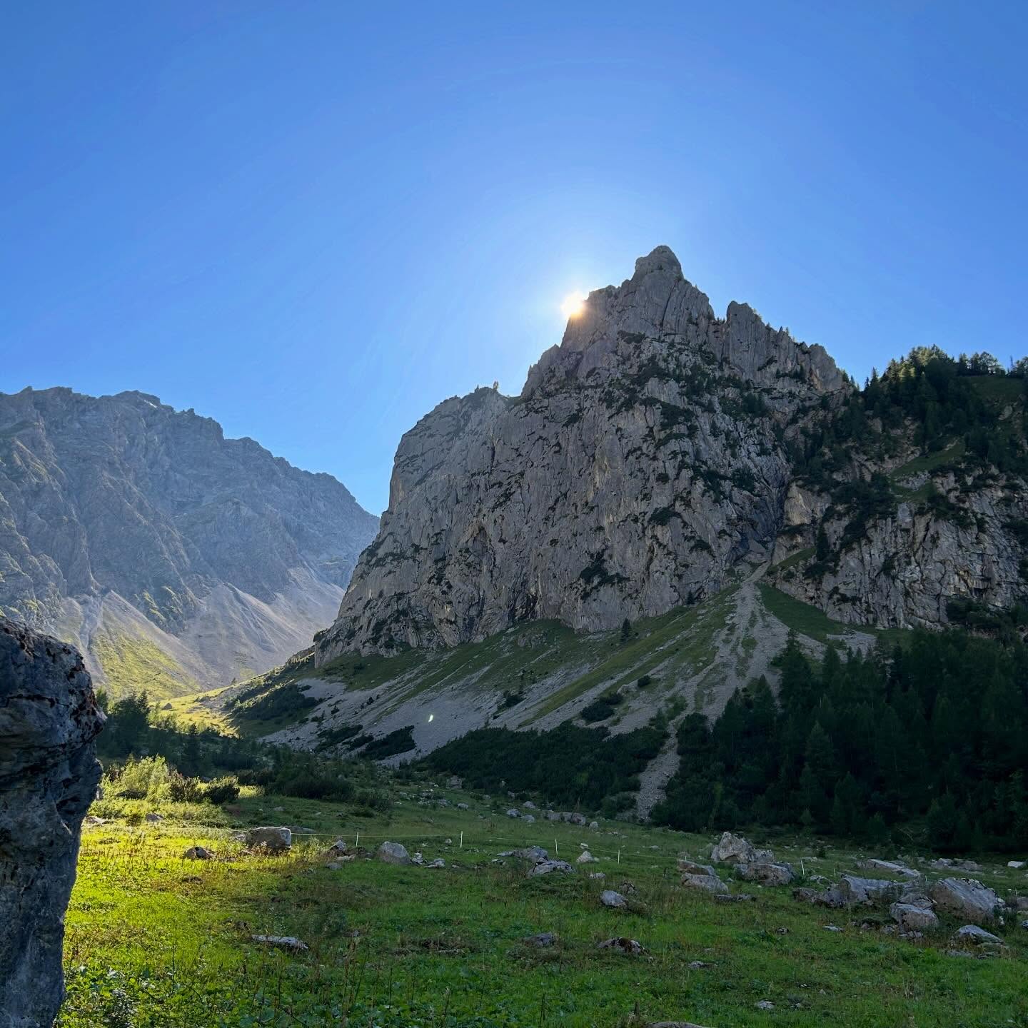 Super schön und spannend zugleich. ☀️⛰️
Die Sarotlahörner wurden über Jahrtausende von Eis, Wind und Wetter geformt. Die Spitzen bestehen hauptsächlich aus extrem harten Kalkgestein das vor rund 200 Millionen Jahren entstand 🪨🧗♂️
Das beste daran?
Ihr könnt deren Anblick direkt von unserer Terrasse aus mit einer leckeren Jause genießen 🍺🍛🍰
#sarotlahütte #alpenvereinshütte #alpenverein #brandnertal #wandernmachtglücklich