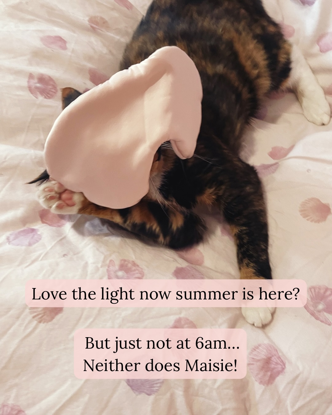 Love the light now summer is here?
But just not at 6am…
Neither does Maisie!
As a firm believer in good sleep and naps, Maisie says silk eye masks are great for humans.
Maisie also wants you to know these eye masks have a double layer of cotton padding to really block the light. Because Maisie thinks she should be the only thing allowed to wake up her humans.
Image description- 1. A tortoiseshell cat called Maisie on a bed with a pink silk eye mask “on”
2. Maisie yawning on a bed next to a pink silk eye mask
3. Maisie wearing the pink silk sleep mask again
All images have text from the above caption added