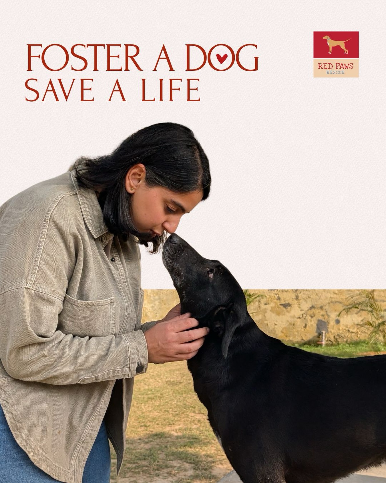 Foster a Dog. Save a Life. š¾
Right now, our rescue babies have nowhere to go, no family, no place to call their own. We are facing a serious shortage of foster homes, and one open door can change everything for them.
Donāt worry, weāll provide food, supplies, and complete veterinary care. All they need from you is a little space and a lot of love.
Concerned about the chaos? Most of our pups are calm, gentle, and happiest curled up quietly in their cozy corner. Zero trouble. Just unconditional love and soft snuggles. āØ
Open your home, even if itās temporary. Lend your heart. Be the reason a rescued life feels safe again.
.
.
.
#redpawsrescue #redpawsdelhi #rescuedogs #dogshelter #fostersneeded
