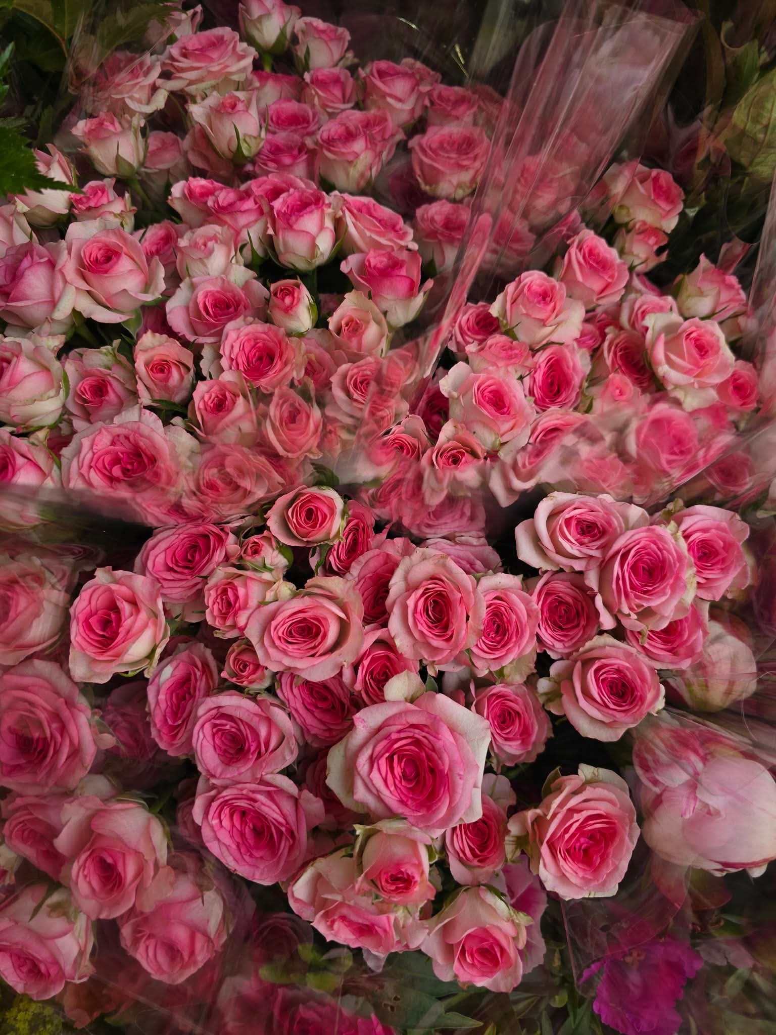 La boutique se pare des couleurs de l'été ☀️🌸
Nouvelles compositions, nouvelles couleurs… tout pour égayer votre intérieur ou faire plaisir à vos proches.
Venez nous rendre visite à Arpajon !
A la Fleuristerie
🚚 Livraison dans l'Essonne du mardi au samedi
📞 01 64 90 14 29
#fleuriste #arpajon #essonne #été #fleurs