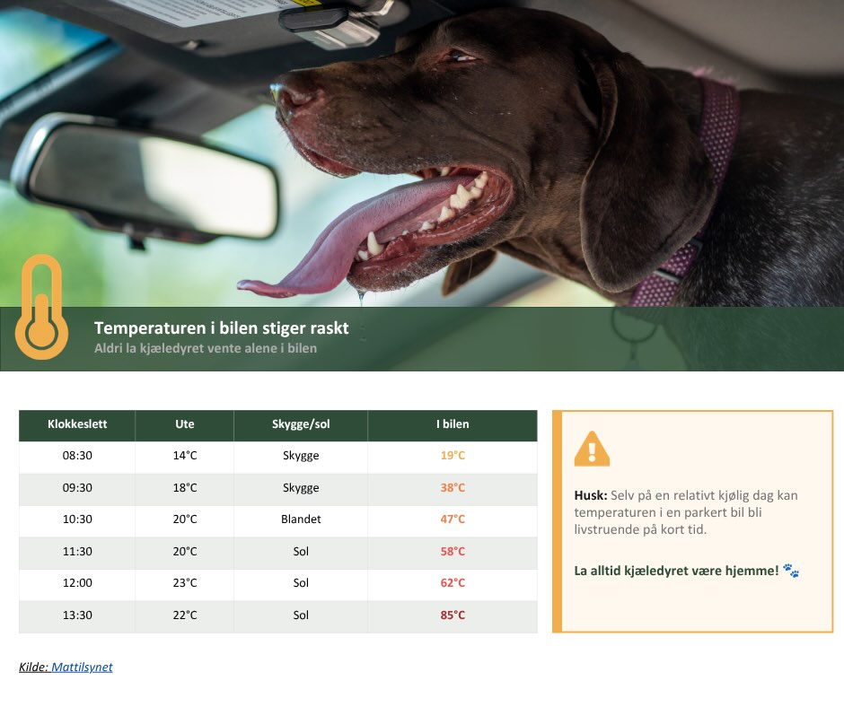 Varmen er her og vi minner om å aldri etterlate kjæledyr i sommervarm bil ☀️🚗
Hos oss får du kjøpt reflekterende solbeskyttelse og bil krok som bidrar til lavere temperatur i og rundt bilen (forlat aldri hunden i varm og innestengt bil, selv med duk)
