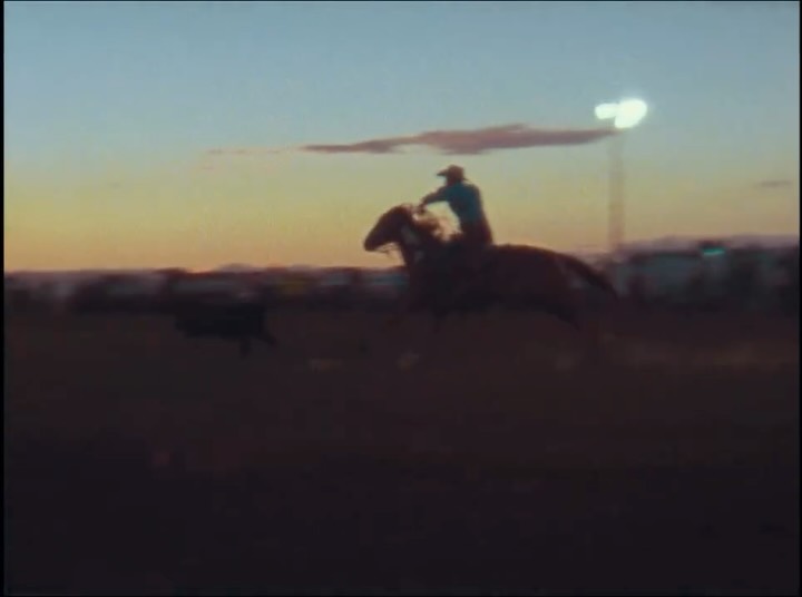 Vanish Direction. 2026. Colorado. Visual Art Installation. #visualart #installation #videoart