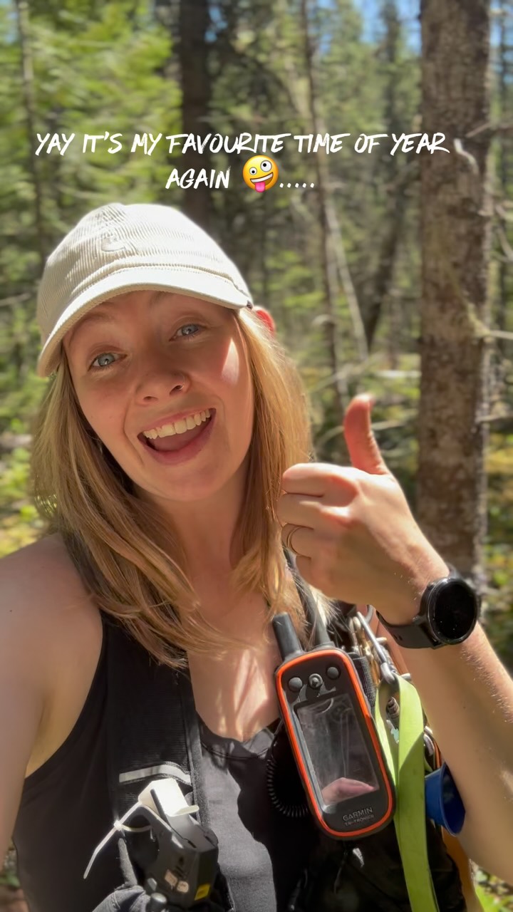 It ain't all cute doggos & adventures it's also 10000000000000 mosquito bites & me fearing for my life out here 🤪
#biscuitspetcare#mosquitos#hikingwithdogs#whistler#whistlerdogs
