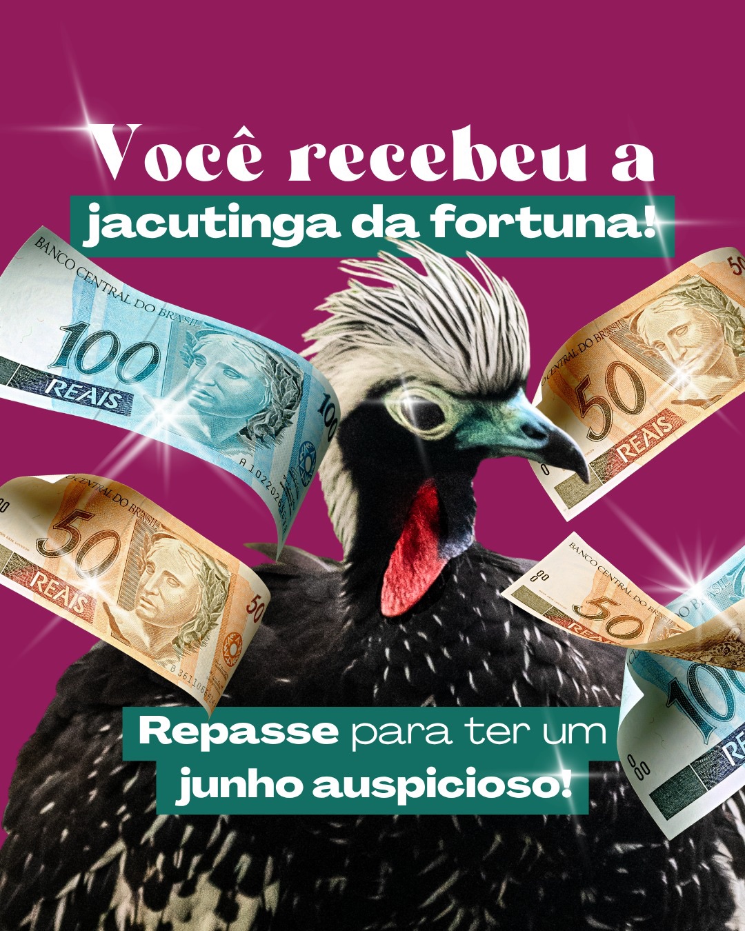 ✨ Você recebeu a jacutinga da fortuna!
Símbolo de regeneração, ela é uma das grandes dispersoras de sementes da palmeira-juçara na Mata Atlântica — essencial para manter a floresta viva e os ciclos funcionando.
Hoje, a espécie está ameaçada, com populações pequenas e fragmentadas.
O Projeto Jacutinga, da @savebrasil atua na reintrodução e monitoramento para aumentar a população de jacutingas na Mata Atlântica.
🔁 Repasse para espalhar boas energias e ajudar a jacutinga a prosperar na Mata Atlântica
#EscuteAsAvesDaMataAtlântica #SomosParteDissoeIssoImporta
