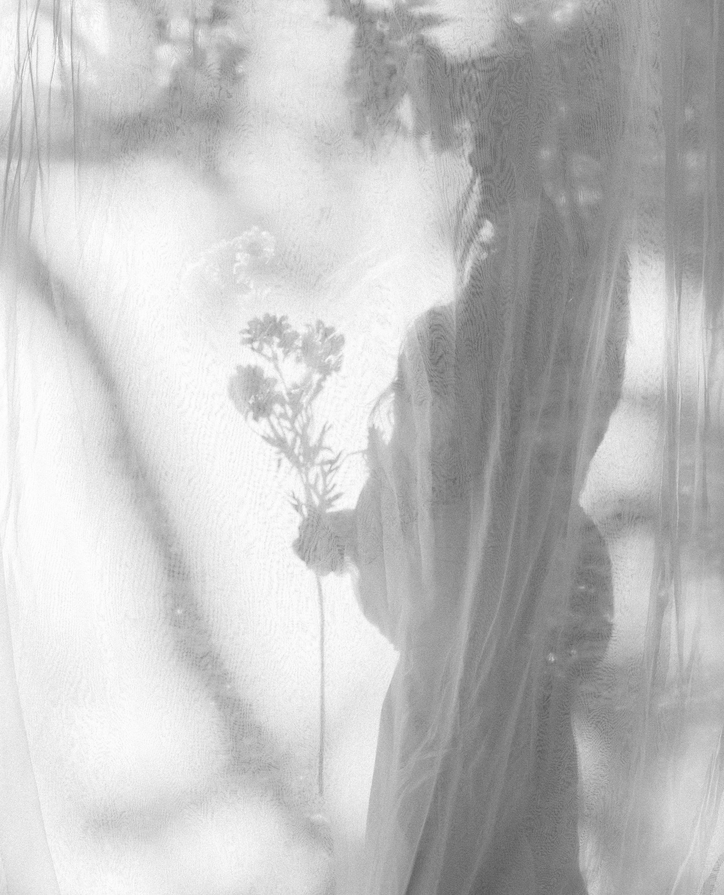 One of my favorite things about photography is finding creative ways to tell a story.
While I absolutely love capturing the classic, timeless portraits everyone expects, some of my favorite images are the ones that push creativity a little further. Silhouette photos are a perfect example. By using light, shadows, and a little imagination, we can create something artistic, dramatic, and completely unique.
There's something so powerful about a silhouette image. Without seeing every detail, the focus shifts to the connection, emotion, and shape of the moment. A simple embrace, a kiss, or even holding hands against a beautiful sunset can turn into a piece of art that feels both timeless and unforgettable.
These creative images often become my clients' favorites because they're different. They stand out. They tell a story in a way that traditional portraits simply can't.
Whether we're photographing a wedding, engagement session, family session, or just exploring a beautiful location together, I always love looking for opportunities to create something a little unexpected.
The best photos aren't always the ones where you see every detail—they're the ones that make you feel something.
#medfordweddings #oregonphotographer #weddingphotographer #southernoregon #oregonwedding #pnwwedding #southernoregon #oregoncoast #elopeinoregon #oregonweddingphotographer #oregonweddingideas #southernoregonphotography #roguevalleyphotographers #medfordoregonweddingphotography #grantspassweddings #ashlandweddings #ashlandweddingphotographer #portlandweddingphotographer #professionalphotographermedford #ashlandweddingplanner #ashlandweddingflorist #medfordweddingplanner #grantspassweddingplanner #medfordweddingflorist #medfordweddingvenues #ashlandweddingvenues #grantspassweddingvenues