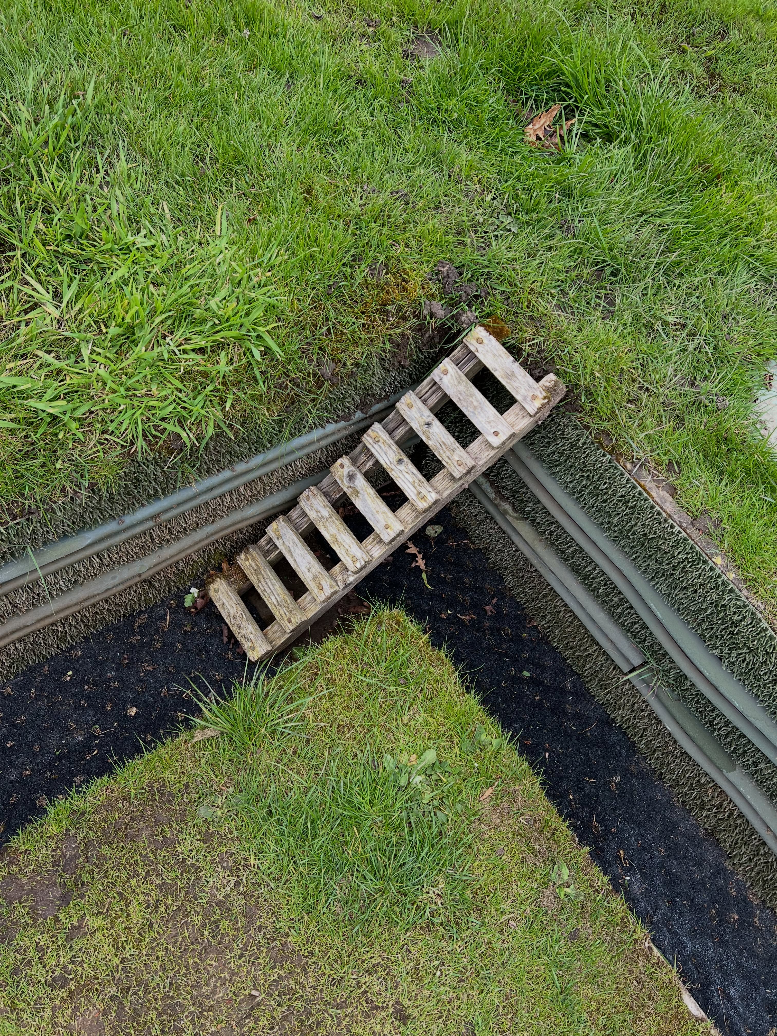 Did you know that we have a hedgehog ramp? Just in case one inadvertently finds itself stuck in the ditch and can’t get out it, here is its mini escape route. There are hedgehogs on the Heath, but they only come out at night when no one is around, so I cannot report if it has ever been used! Even though hedgehogs can roam up to 2 miles at night, the hedgehogs on the Heath are genetically diverse from the hedgehogs in Regents Park, probably to do with urbanisation.
#parliamenthill #hedgehogs #hampsteadheath #northlondon #lawnbowlsforlife