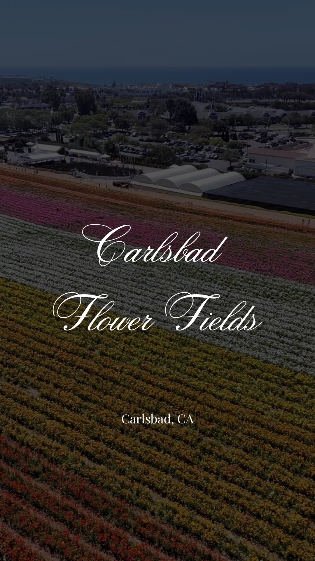 Looking for things to do near Temecula this weekend? This is your sign.
The Carlsbad Flower Fields are in full bloom—but not for long. If you’ve been searching for the best spring activities in Southern California or easy day trips from Temecula, this needs to be on your list.
About an hour away, this spot is known for:
🌸 50+ acres of colorful flower fields
🌊 Ocean views + fresh coastal air
📸 Photo-worthy backdrops everywhere
👨👩👧 Family-friendly activities (gem mining, playground, and more)
💐 Seasonal experience you can only catch once a year
It’s the perfect Mother’s Day idea, weekend outing, or just a beautiful escape from your routine.
If you’re living in Temecula—or thinking about moving here—this is exactly the kind of lifestyle perk that makes it so special.
Save this for your weekend plans before the season ends.
Follow me @catherinekimre for more homes, community highlights, hidden gems, and the best places to live in SoCal.
Catherine Kim
(951) 725-1587
Cathy@catherinekimre.com
Southern California real estate agent
DRE 02035547
Real Broker
#carlsbadflowerfields #thingstodointemecula #temeculalifestyle #temeculavalley #daytripsocal socalactivities springinsocal mothersdayideas familyfriendlyfun socalexplore visitcarlsbad explorecalifornia weekendplans relocationlifestyle livinginsocal