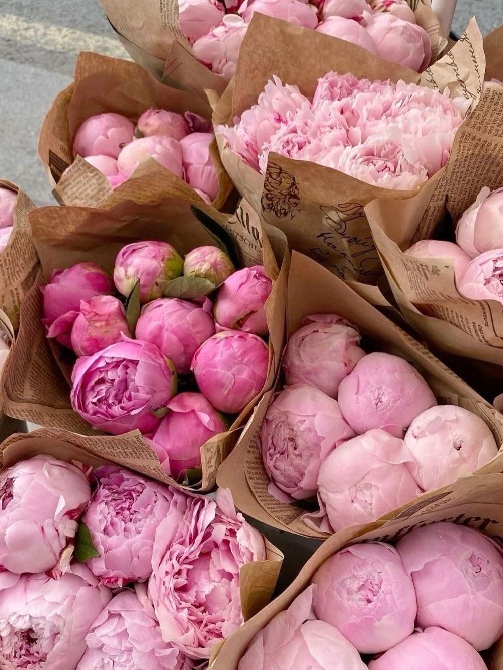 🌸 Did you know?
Peony buds often attract ants, but don’t worry, they aren’t harming the flower. They’re simply drawn to the sweet nectar on the outside of the buds.
A little sign that peony season is truly here. ✨
You can also enjoy these beautiful seasonal peonies in our Bloom Box Arrangement while they’re in season.
#PeonySeason #Peonies #BloomBox #LaMaisonFlowerStudio#yycflorist
