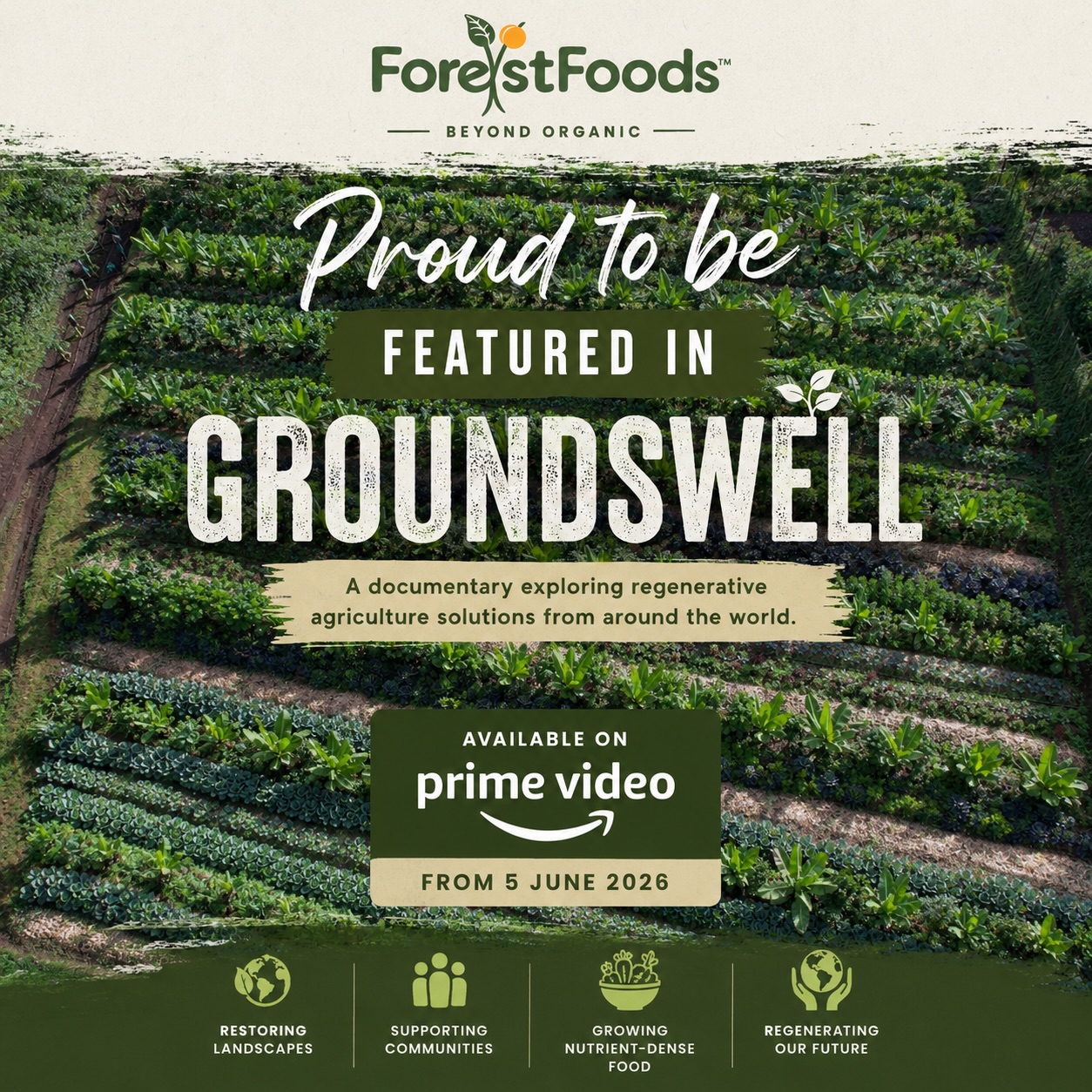 For the past four years, we’ve been growing more than food 🥦 We’ve been growing healthy soils, biodiversity, knowledge, and a different vision for agriculture 👩🌾
Today, we’re honoured to share that ForestFoods is featured in @groundswell_film , a documentary exploring regenerative agriculture solutions from around the world 🌎
What began as a vision to farm differently has grown into a movement of farmers, agribusinesses, chefs, customers, students, and partners who believe there is a better way to produce food 🍏
This is about the growing community of people working to regenerate our food systems and landscapes for future generations 👣
Thank you to everyone who has visited our farms, attended a course, purchased our produce, supported our mission, or helped share our story along the way.
The work continues. 🌱
#RegenerateKenya #GroundswellFilm #RegenerativeAgriculture #SyntropicAgroforestry #ForestFoods KenyaAgriculture FoodSystems Agroforestry BeyondOrganic NutrientDenseFood Regeneration