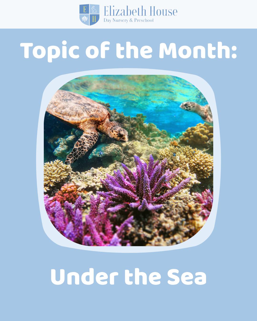 Hello June! This month, the children will be diving into our new topic; Under the Sea.
From colourful fish and coral reefs to sea creatures and ocean adventures, weโll be exploring life beneath the waves through stories, sensory play and creative activities!
#preschool #elizabethhousenursery #nursery #earlyyears #eyfs #wallingford #oxfordshire #learningthroughplay