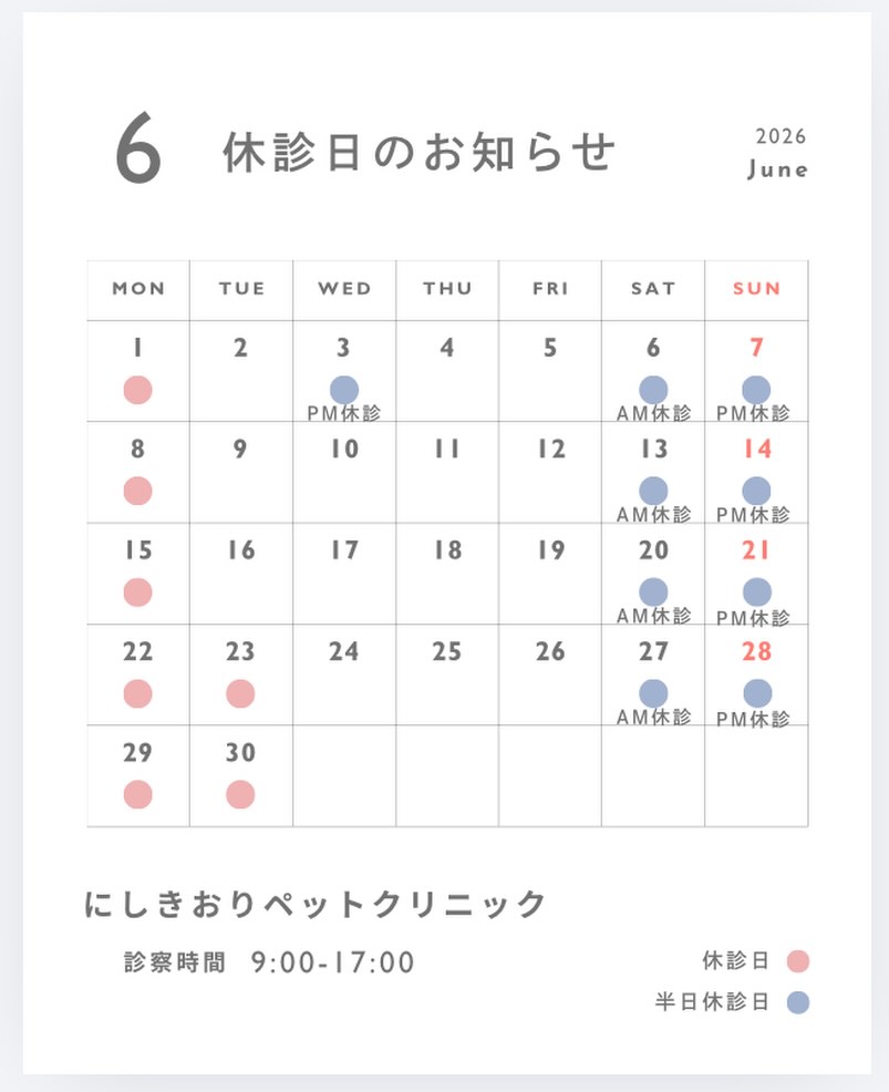 こんにちは😊
皆様台風は、大丈夫だったでしょうか?
今日は午前のみの診療でしたが、志木のあたりは思っていたより雨風が強くならなかったので☔️通常通り診察させて頂きました🚗✨
皆様もお気をつけてお過ごしください。
遅くなってしまいましたが、6月休診日のお知らせです。
前半の土日は、すでに予約がいっぱい🈵になっています。
予防診療、定期的診察に関しては、早めにご連絡いただくとスムーズです。
#にしきおりペットクリニック
#往診
#往診専門動物病院
#休診日
#台風被害がありませんように
