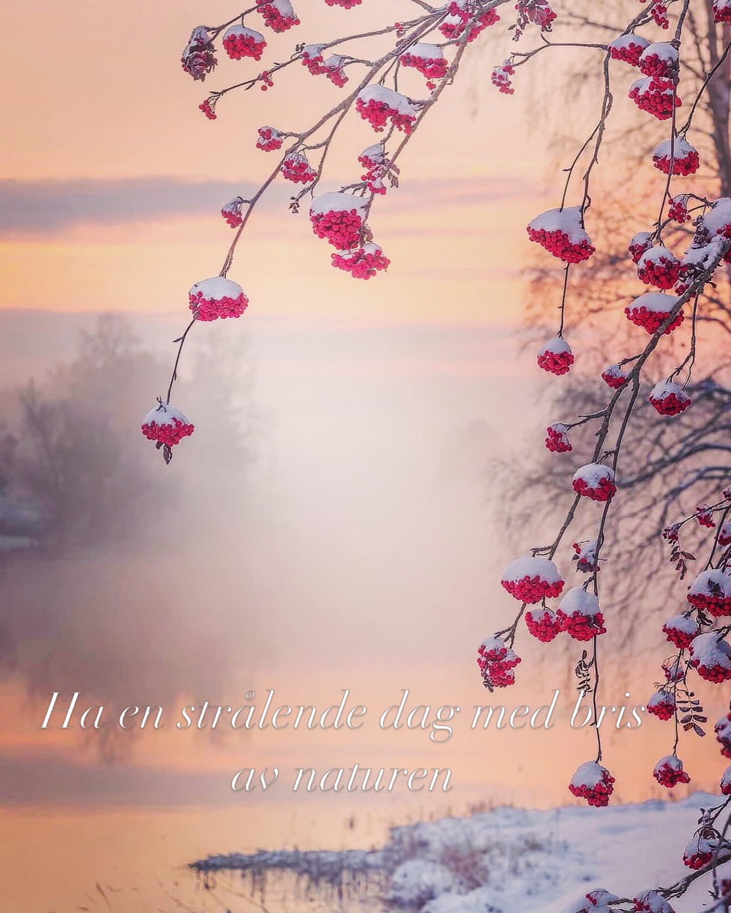 🌿 Take a deep breath and let nature do the rest.🌿
@followers #
#Norge
#VisitNorway
#MittNorge
#NorskNatur
UtPåTur
Turglede
Naturopplevelse
GodMorgen
GodDag
Livsnytelse