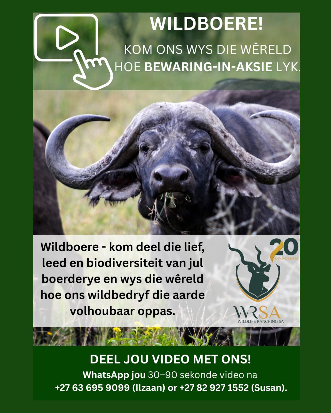 🌿 Kom ons wys die wêreld bewaring in aksie!
WRSA wil graag die ongelooflike stories van ons lede vertel – die stories wat wys hoe wildboerdery daagliks 'n verskil maak vir biodiversiteit, habitatte en wildbewaring.
Maar ons kan dit nie sonder jou doen nie.
Het goeie veldbestuur nuwe lewe in jou plaas geblaas? Het jy onlangs strikke verwyder, wild gered of 'n bewaringsuitdaging suksesvol aangepak? Stuur vir ons jou foto's, video's en kort stories.
Terwyl baie mense oor bewaring praat, leef ons lede dit elke dag.
Help ons om die ware verhaal van volhoubare benutting en verantwoordelike bewaring te vertel.
📩 Stuur jou bydraes aan ons – ons sien uit daarna om jou suksesverhale te deel.
#WRSA20Years #ConservationInAction #BewaringInAksie #Biodiversity #VolhoubareBenutting #ConservationSuccess #SustainableUse