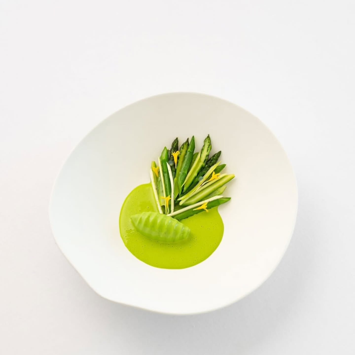 Delighted to see how 2 Michelin Star Chef Tom Meyer connects with the organic language behind my designs!
Organic design is a universal form of creative expression
@tommeyer_
@lvisentin_
@lephotographedudimanche